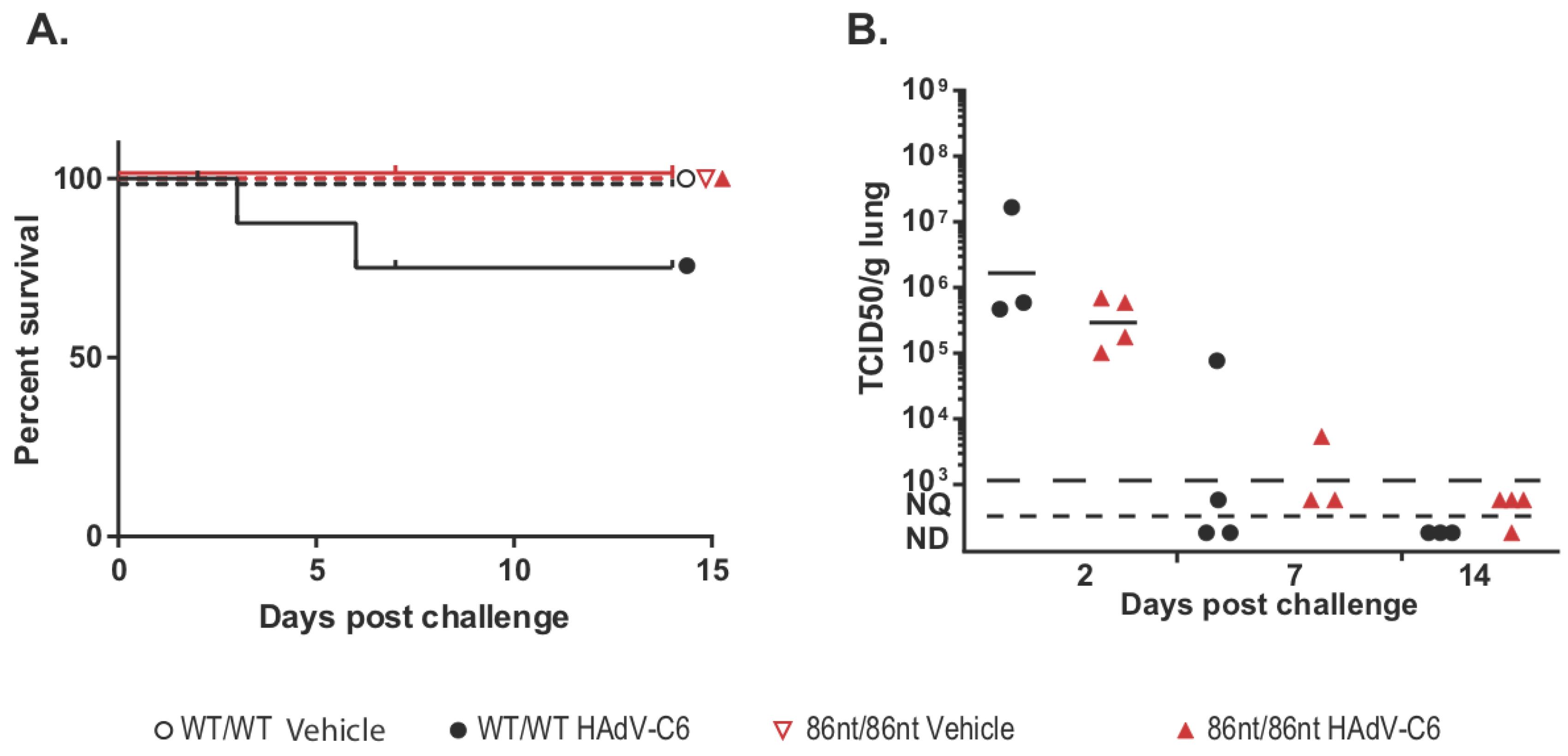 Viruses 10 00243 g007 Viruses 10 00243 g007