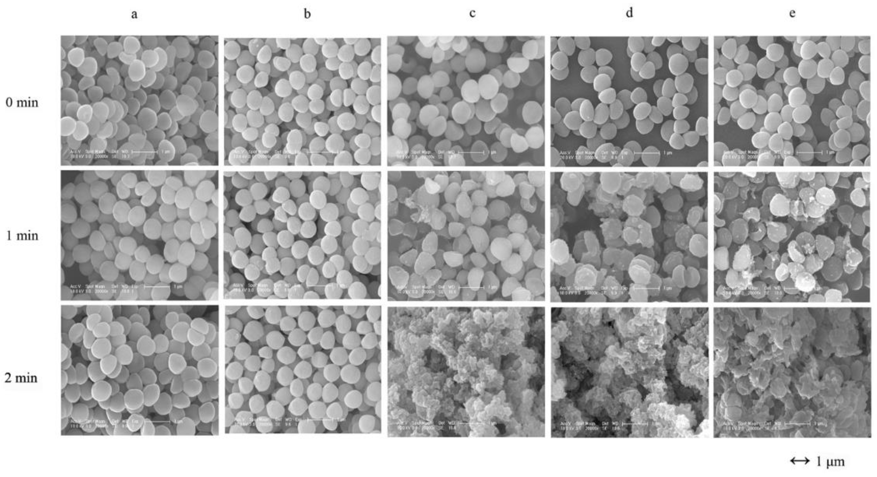 Viruses 10 00244 g002