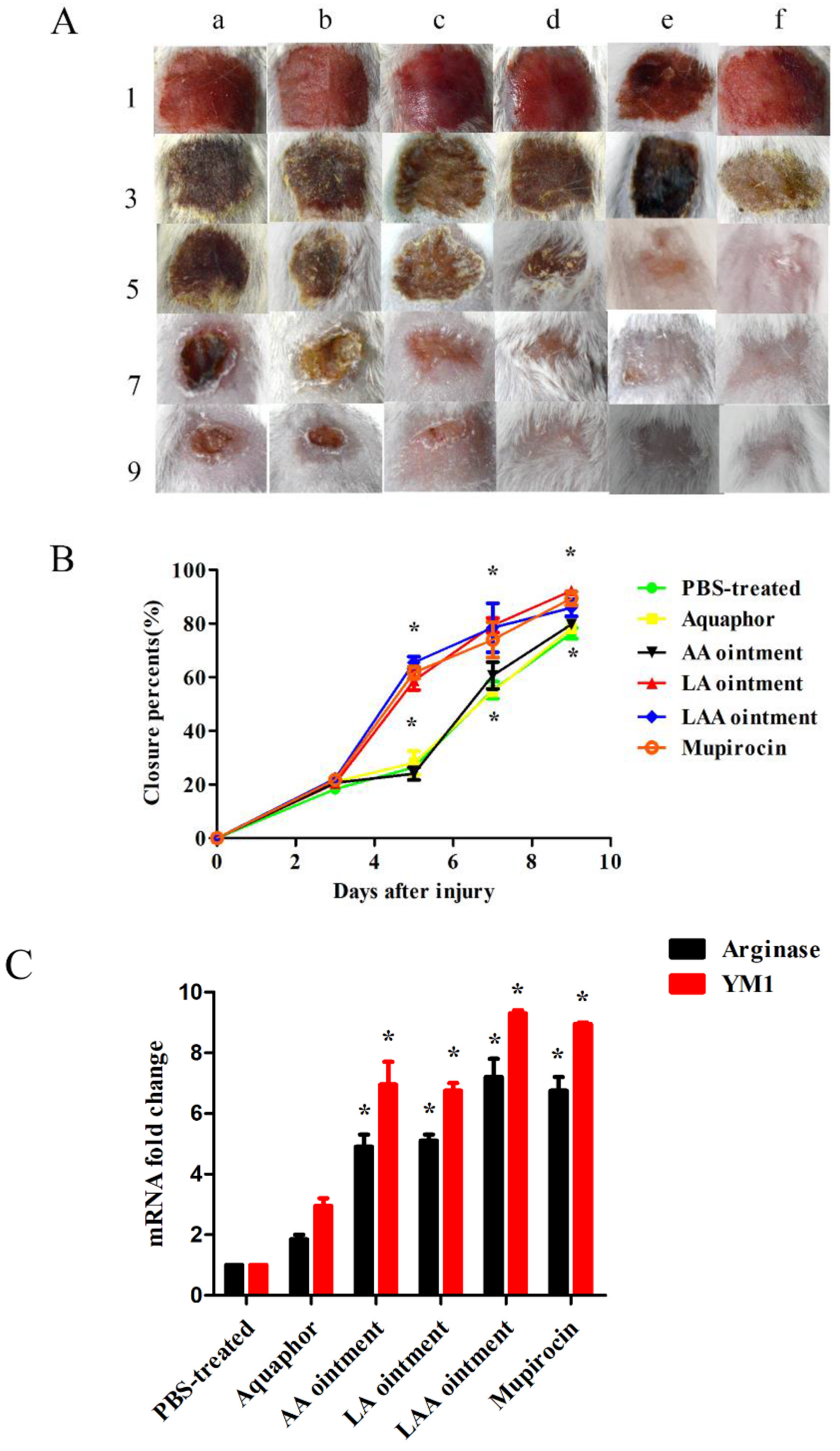 Viruses 10 00244 g004