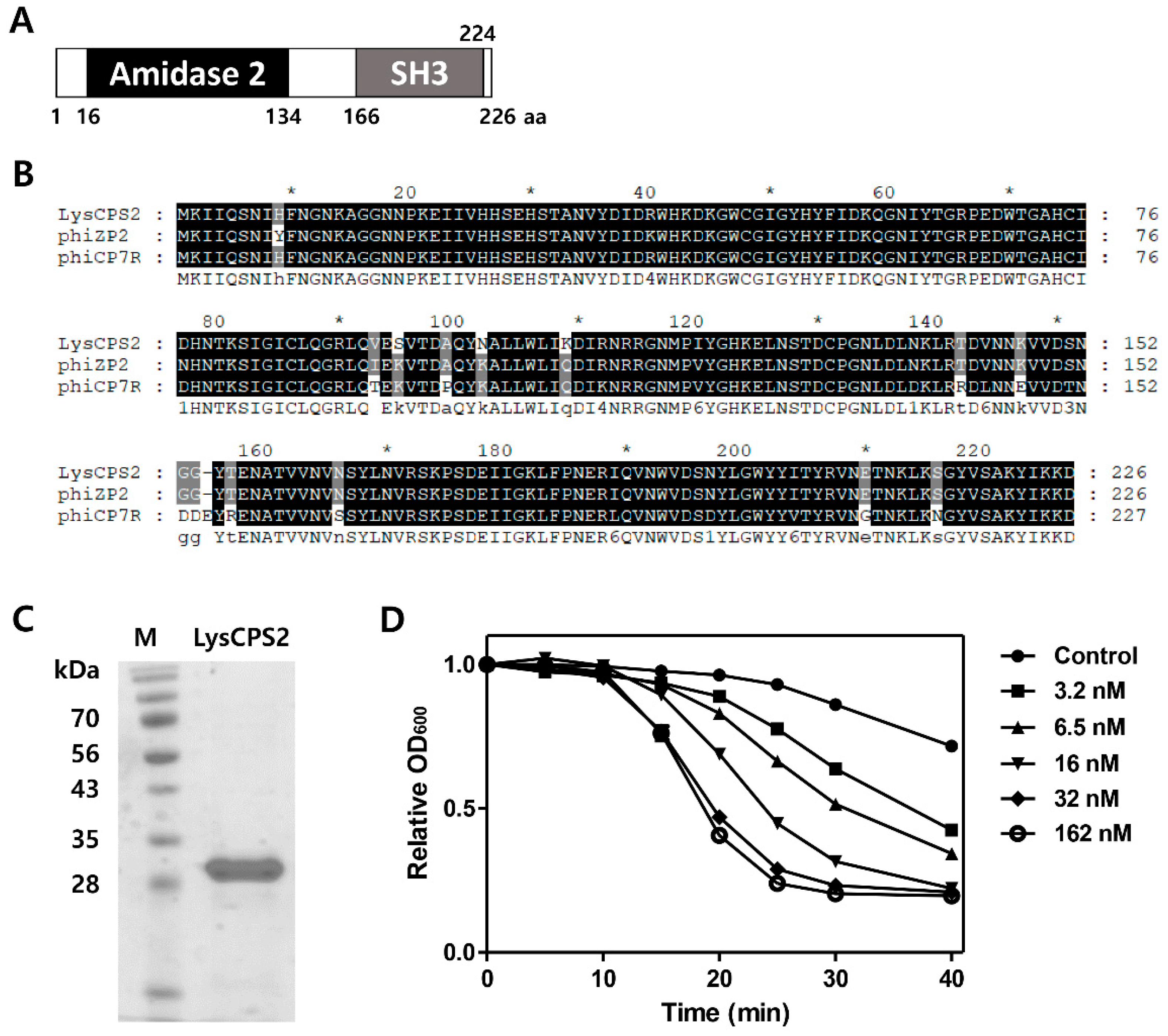 Viruses 10 00251 g002 550