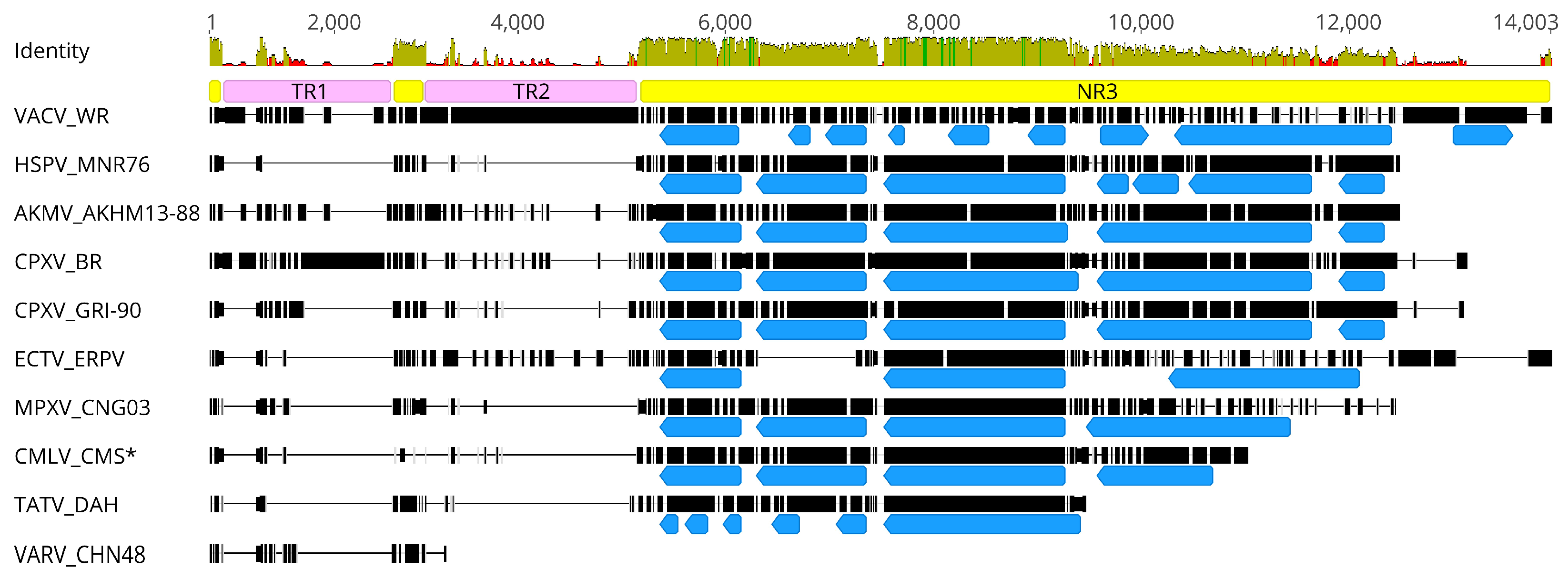 Viruses 10 00252 g001