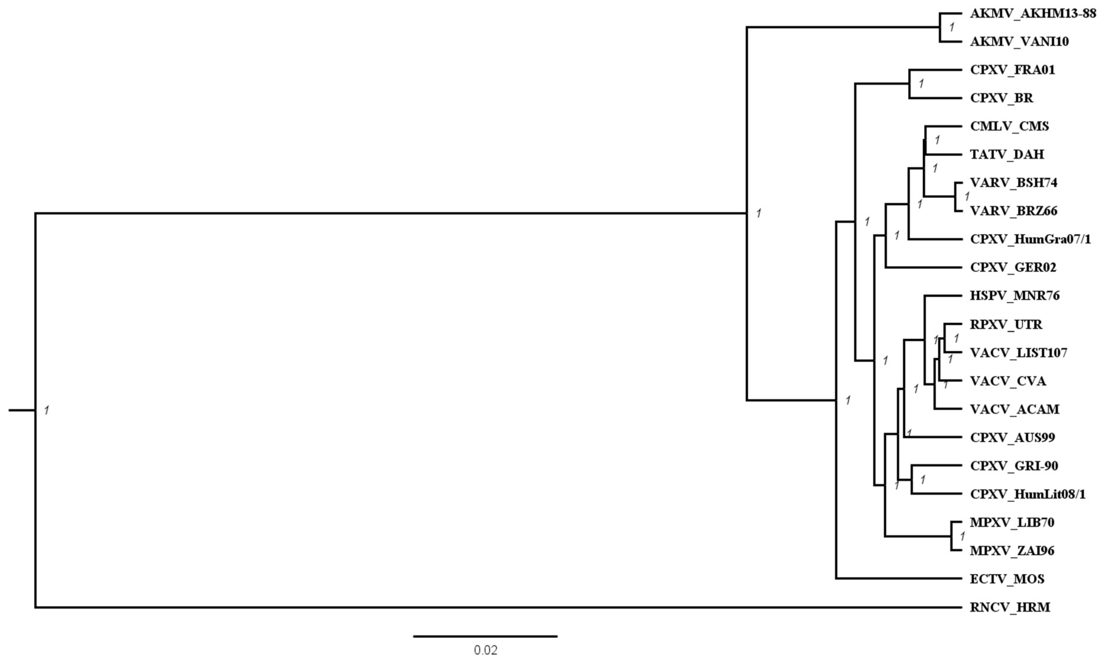 Viruses 10 00252 g002