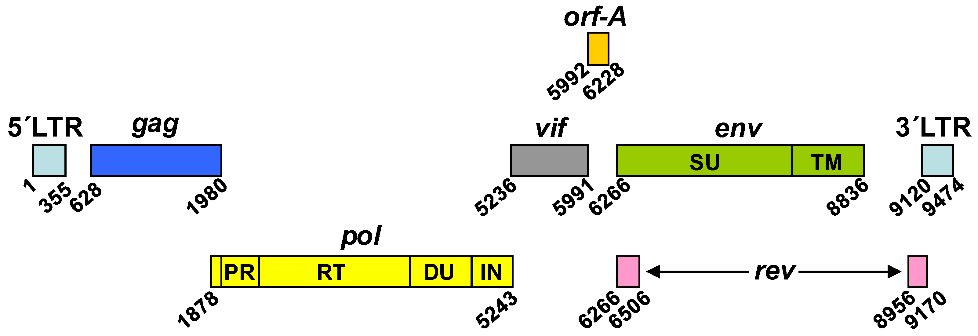 Viruses 10 00261 g001