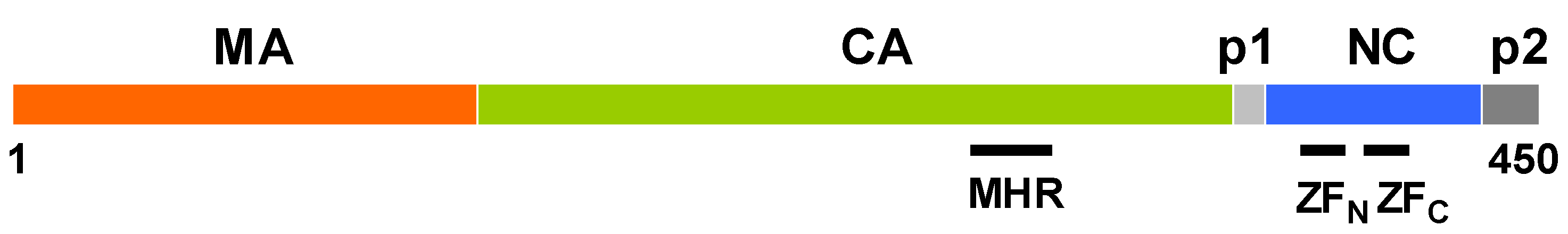 Viruses 10 00261 g002