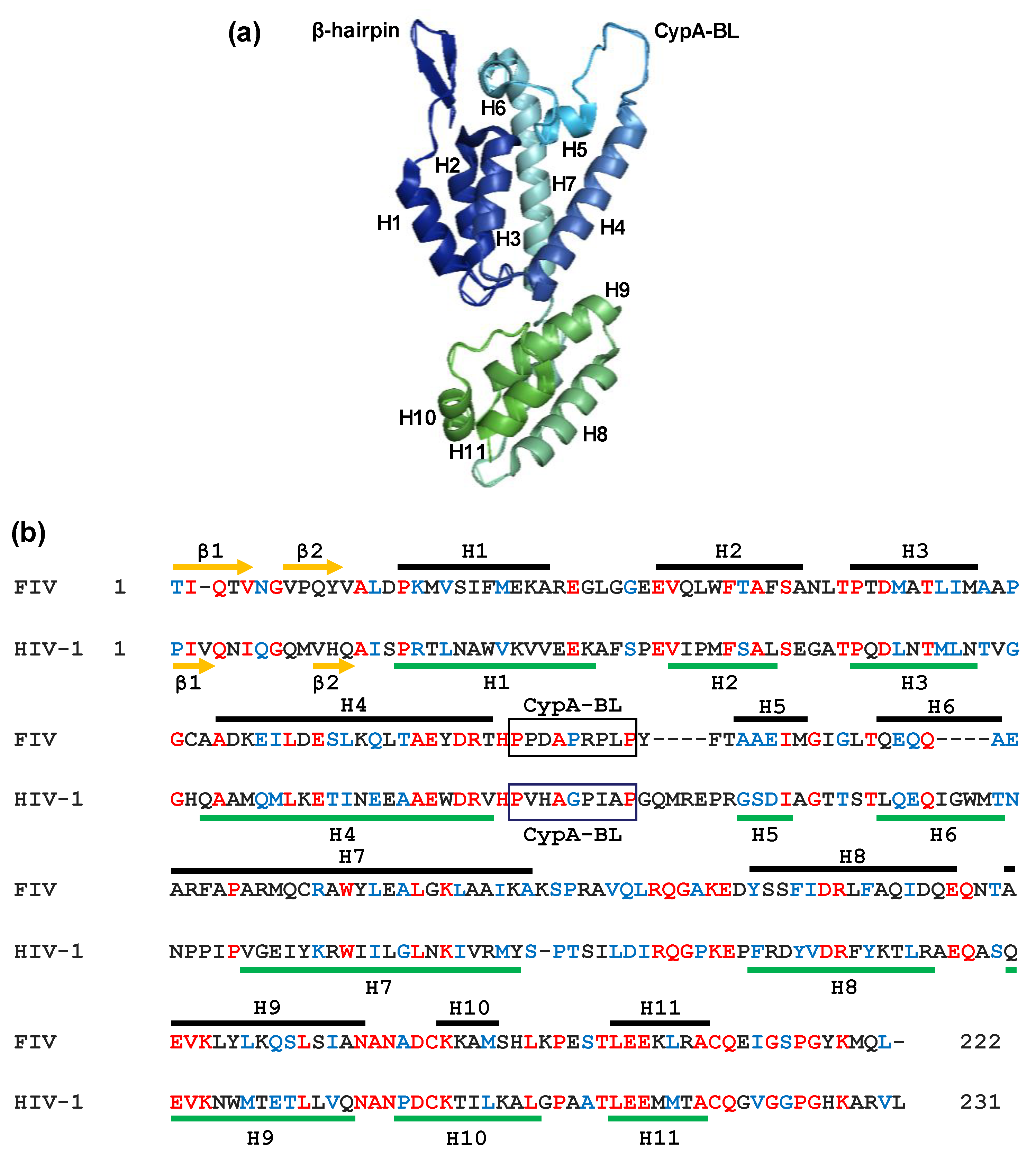 Viruses 10 00261 g004