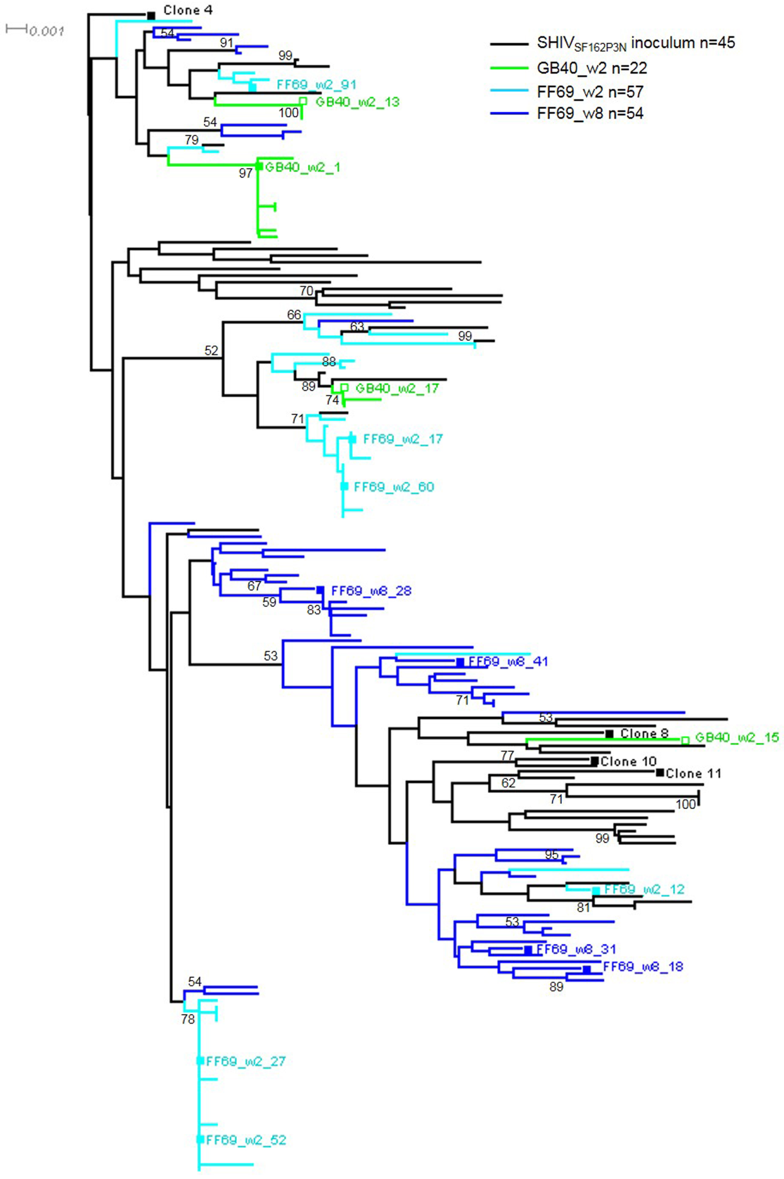 Viruses 10 00262 g002 Viruses 10 00262 g002