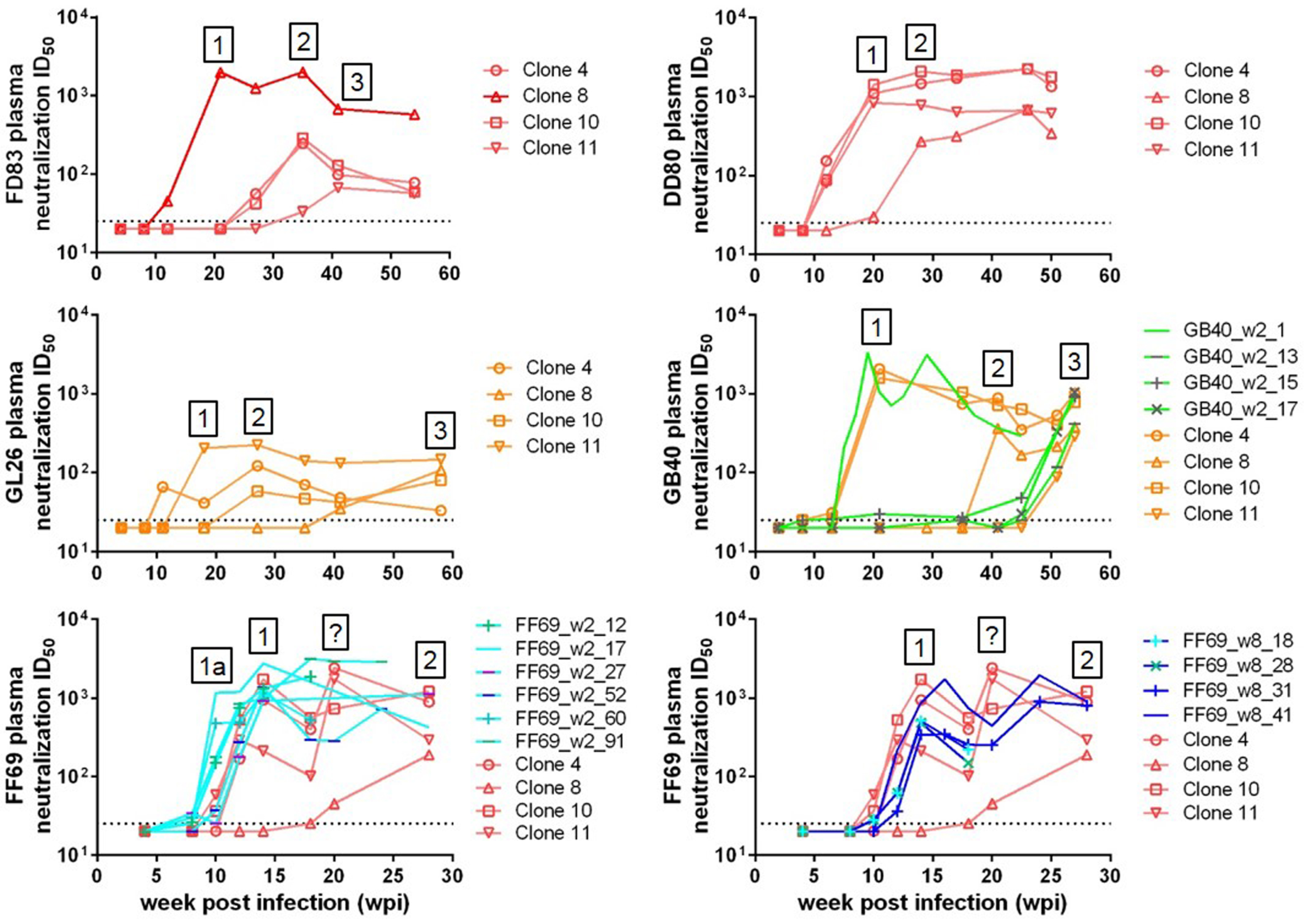 Viruses 10 00262 g003 Viruses 10 00262 g003