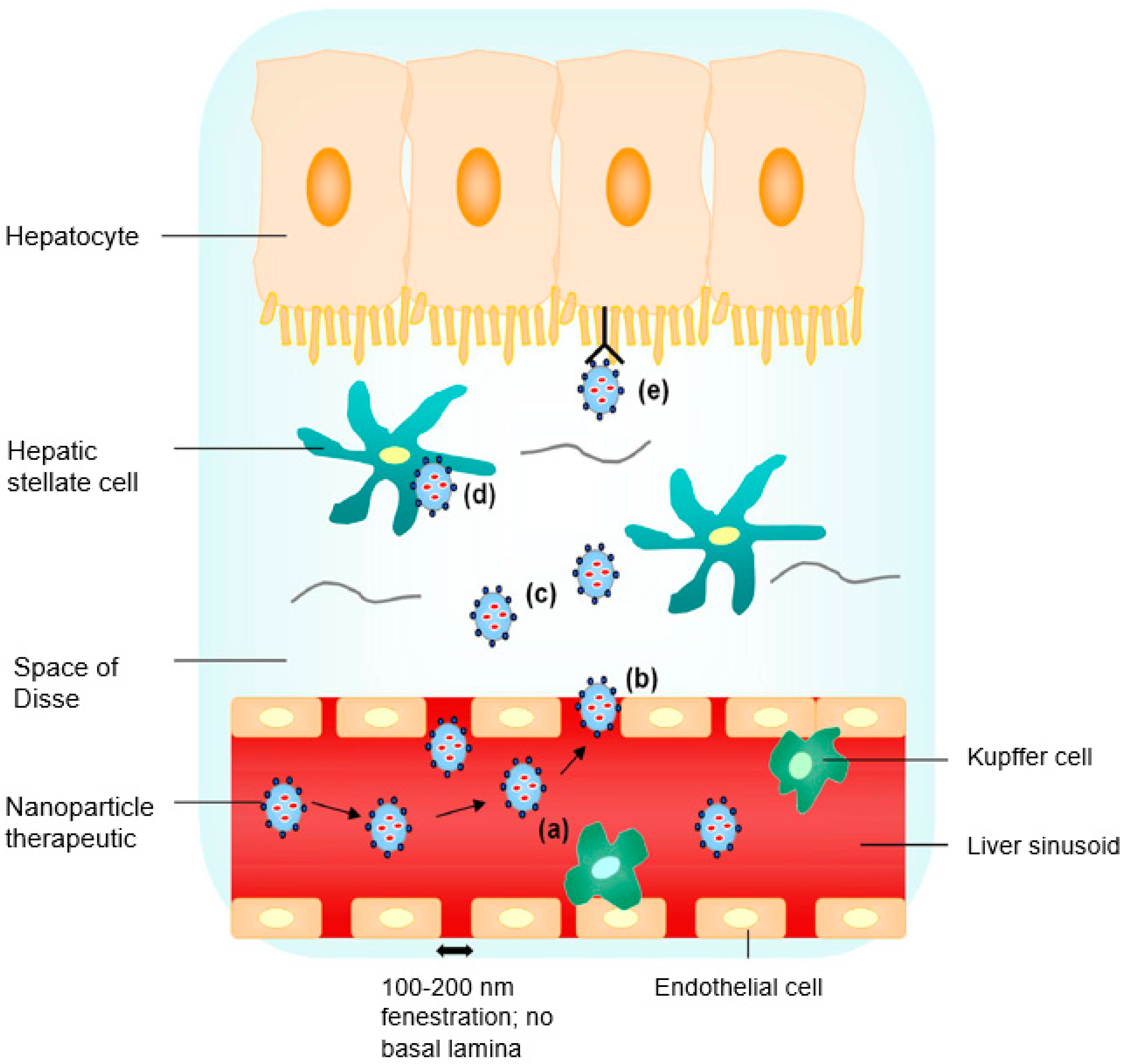 Viruses 10 00267 g001