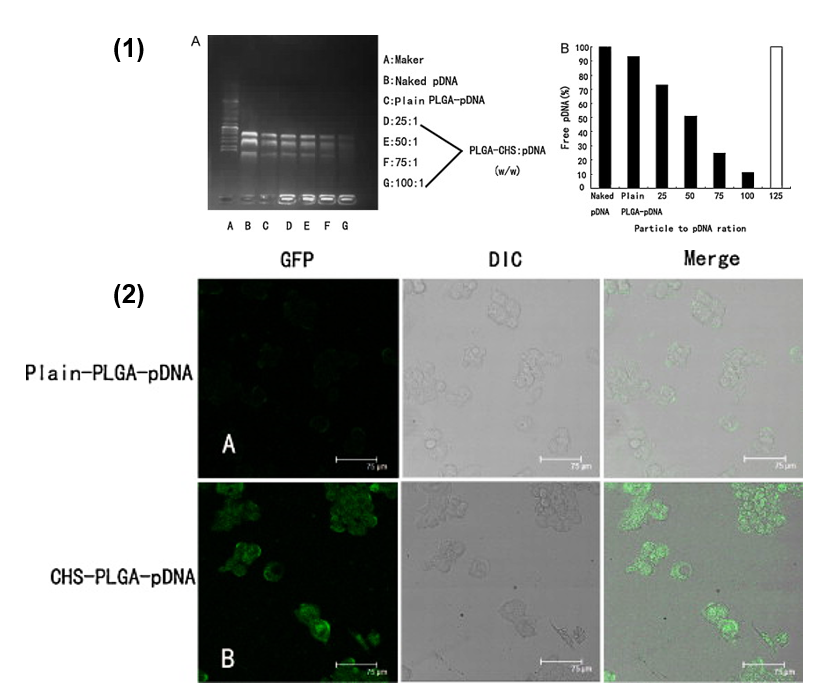 Viruses 10 00267 g002