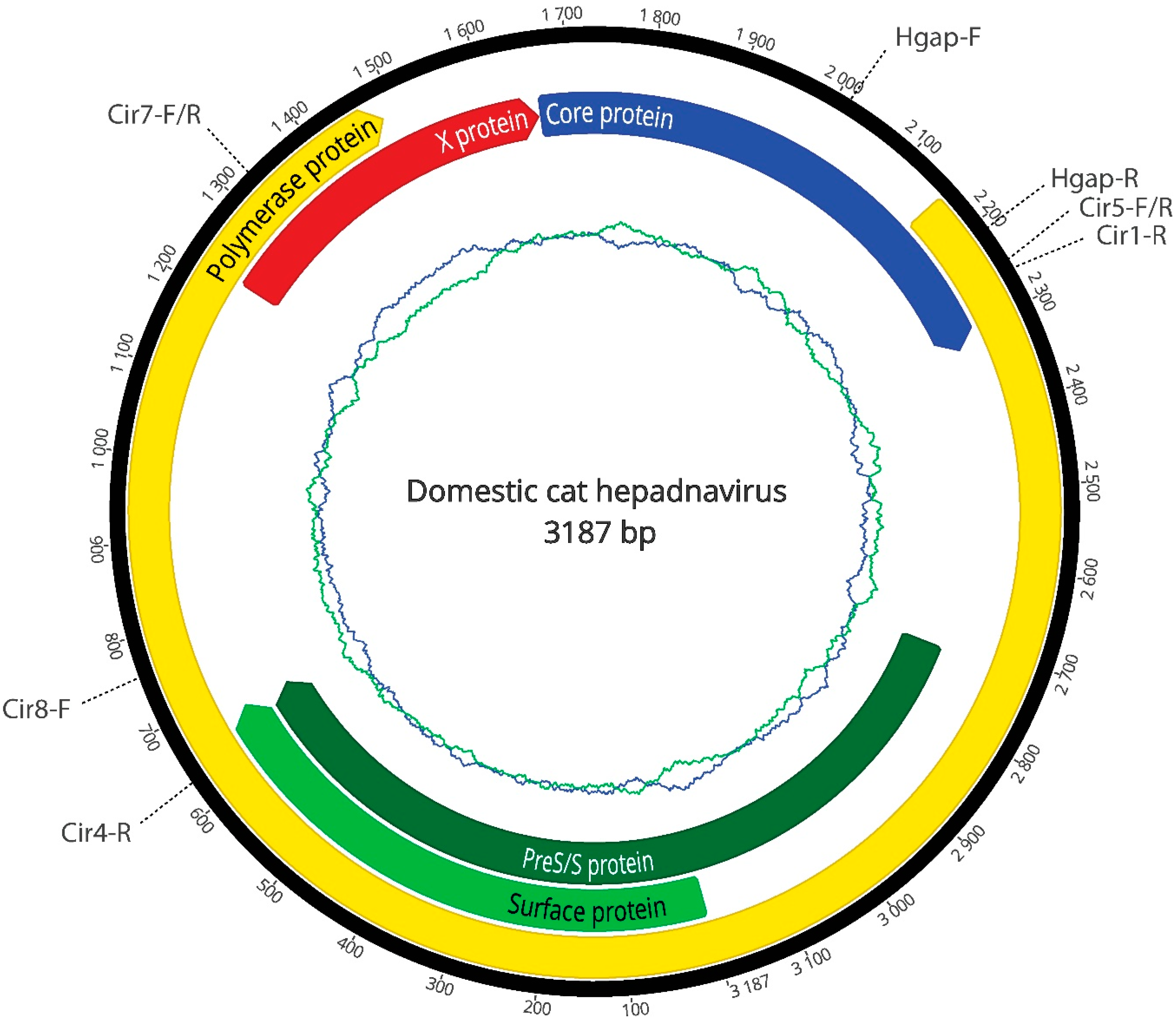 Viruses 10 00269 g001