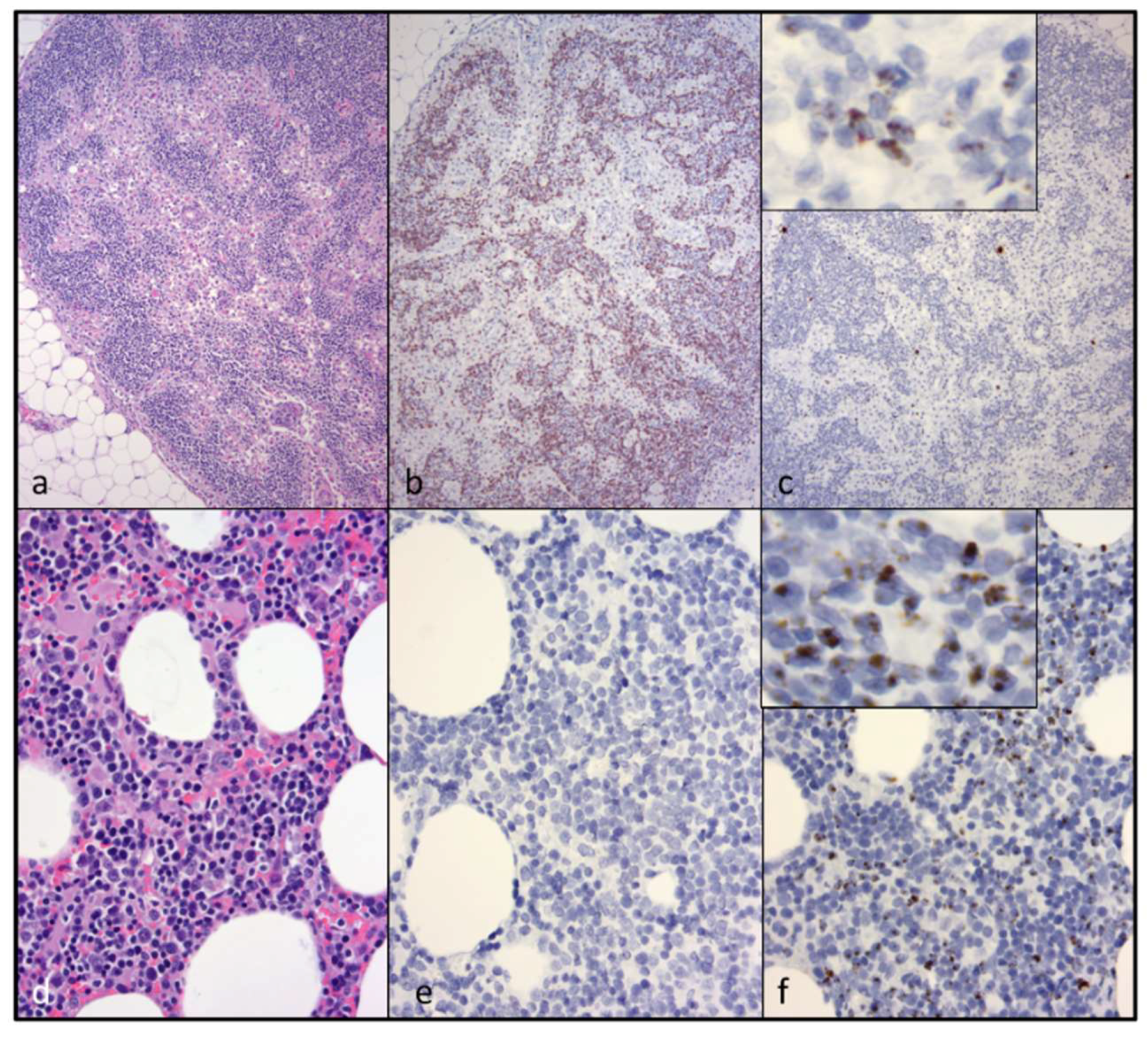 Viruses 10 00280 g004