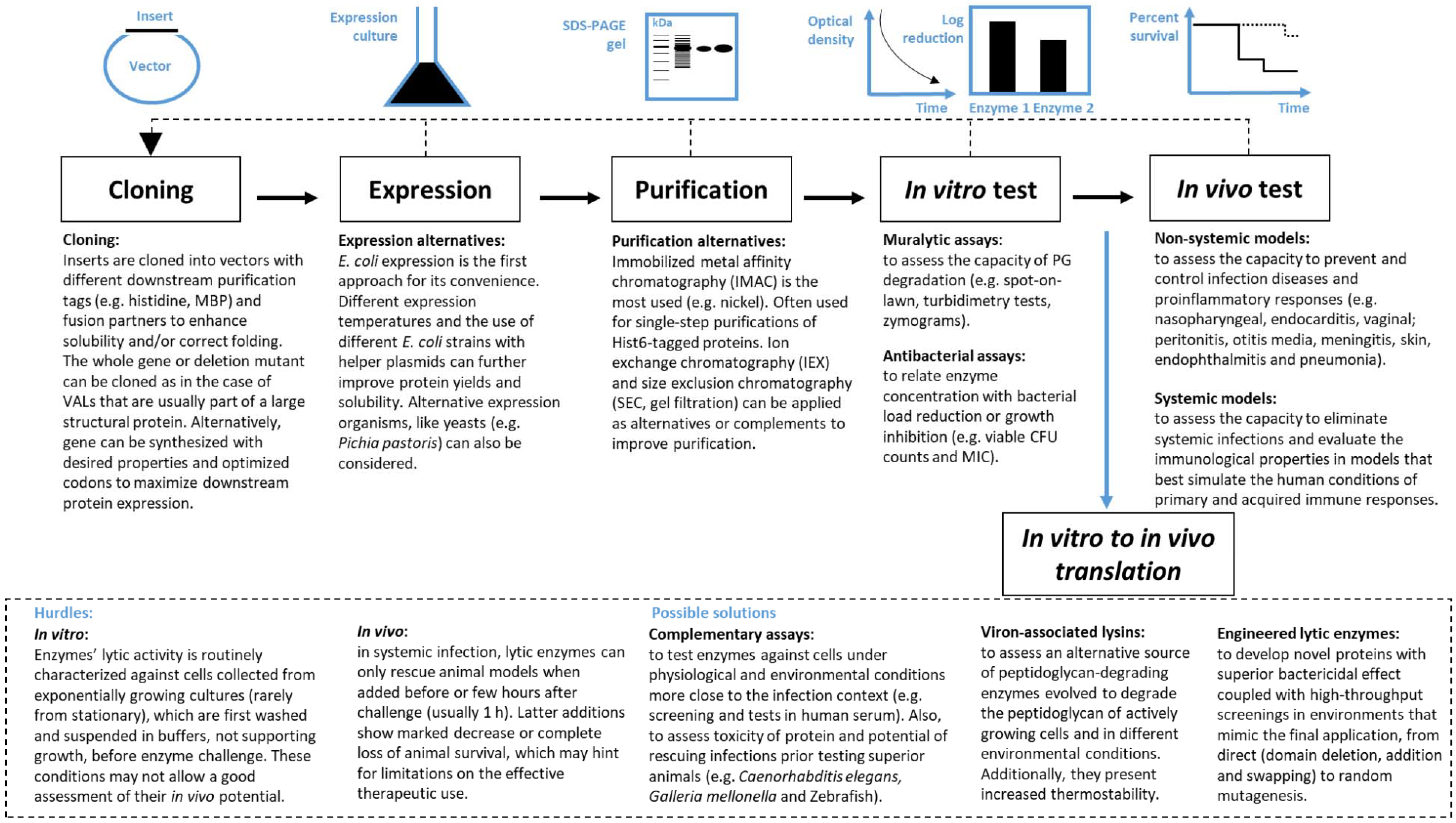 Viruses 10 00292 g001 Viruses 10 00292 g001