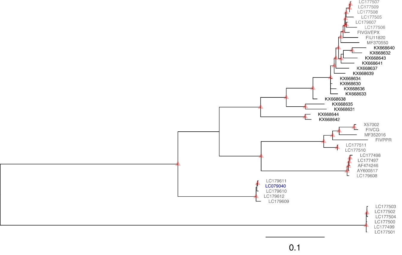 Viruses 10 00296 g0a1