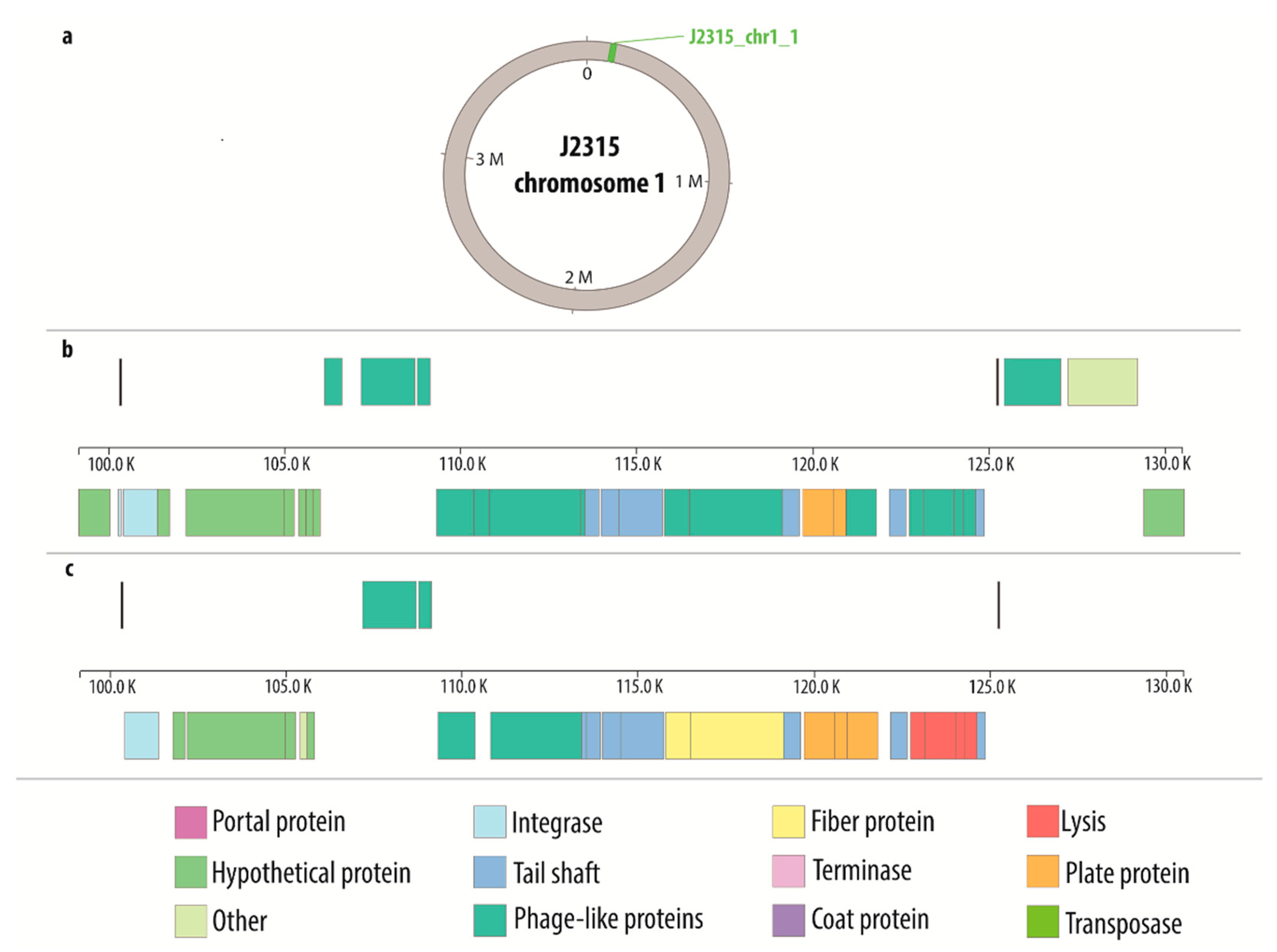 Viruses 10 00297 g001 Viruses 10 00297 g001