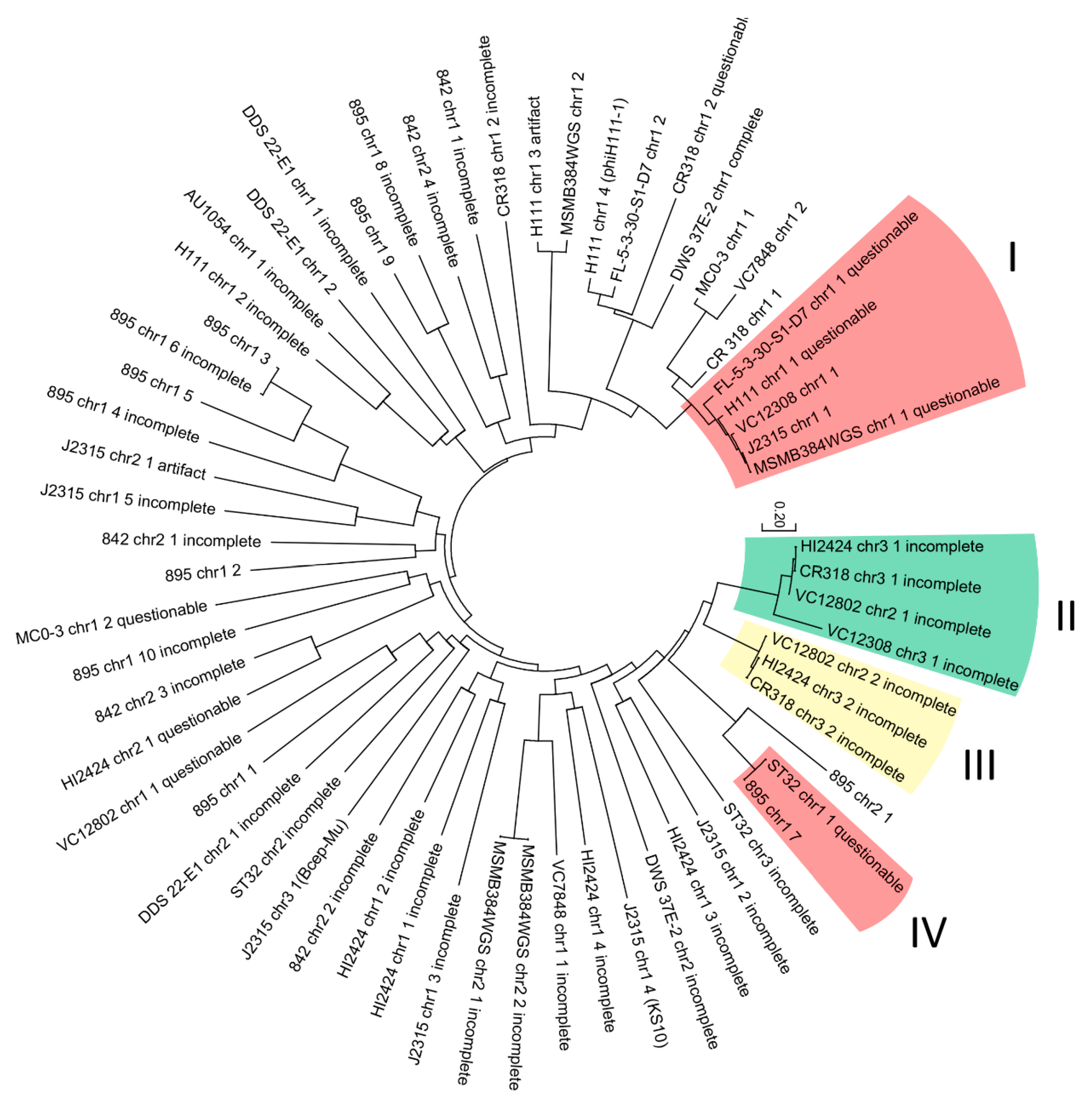 Viruses 10 00297 g004 Viruses 10 00297 g004