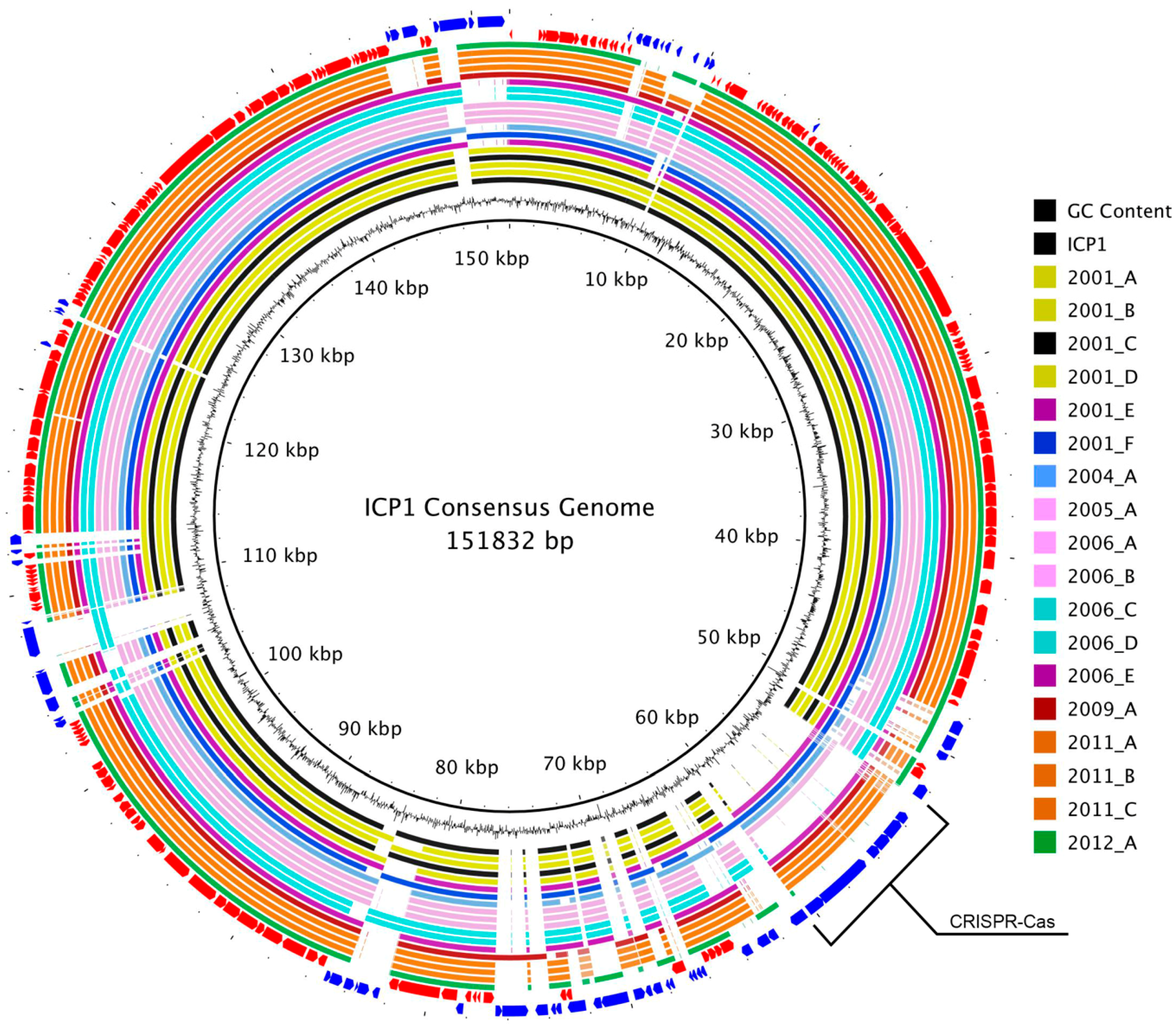 Viruses 10 00299 g002