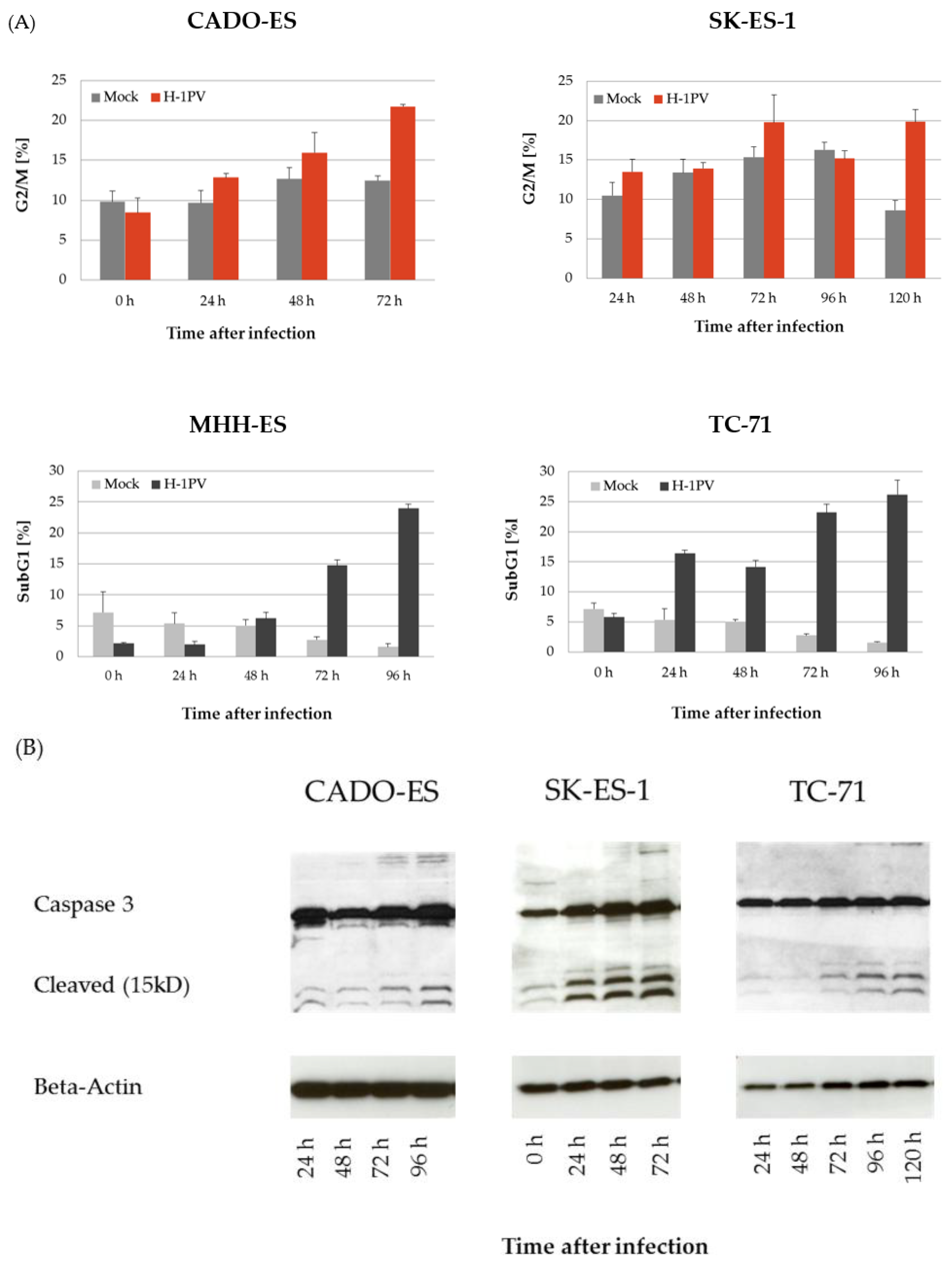 Viruses 10 00302 g002 Viruses 10 00302 g002