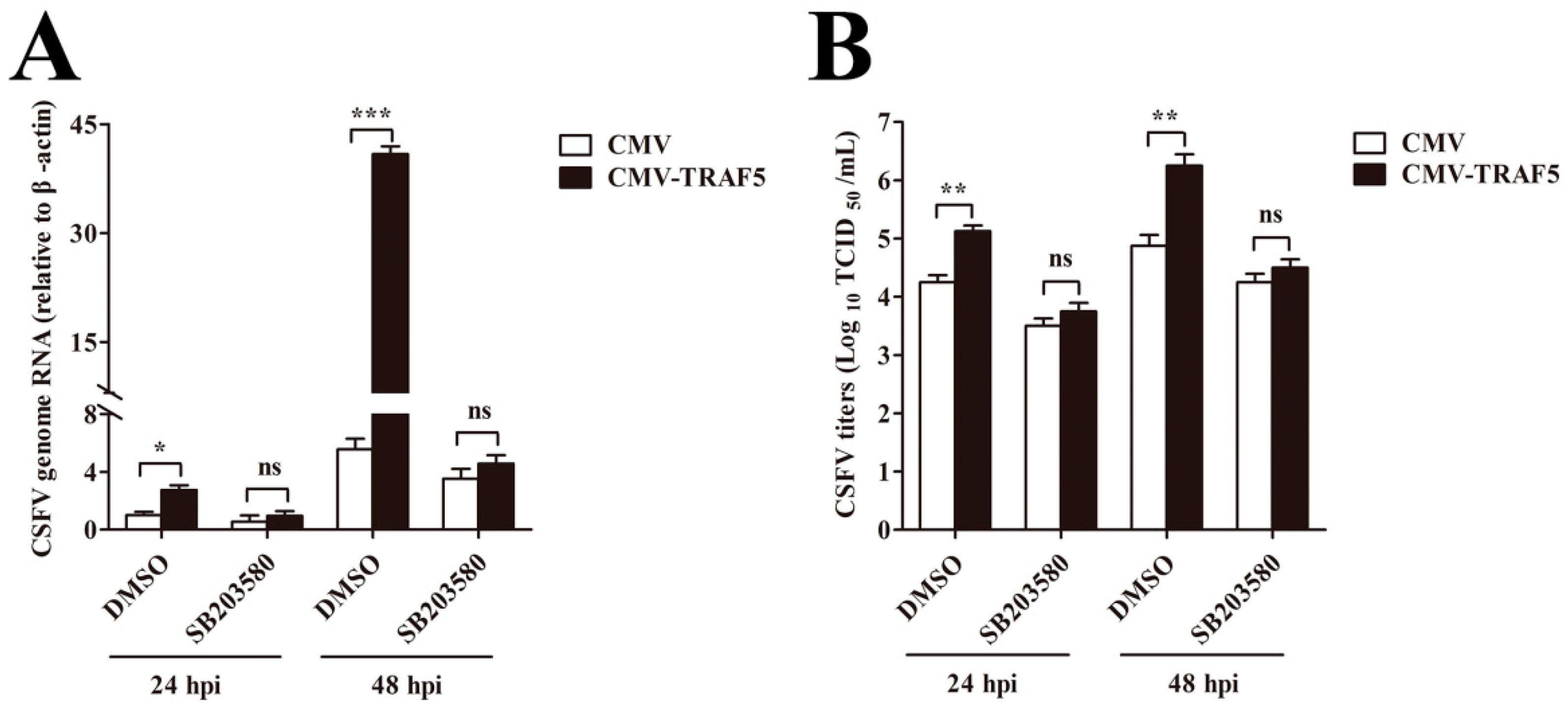 Viruses 10 00305 g007 Viruses 10 00305 g007