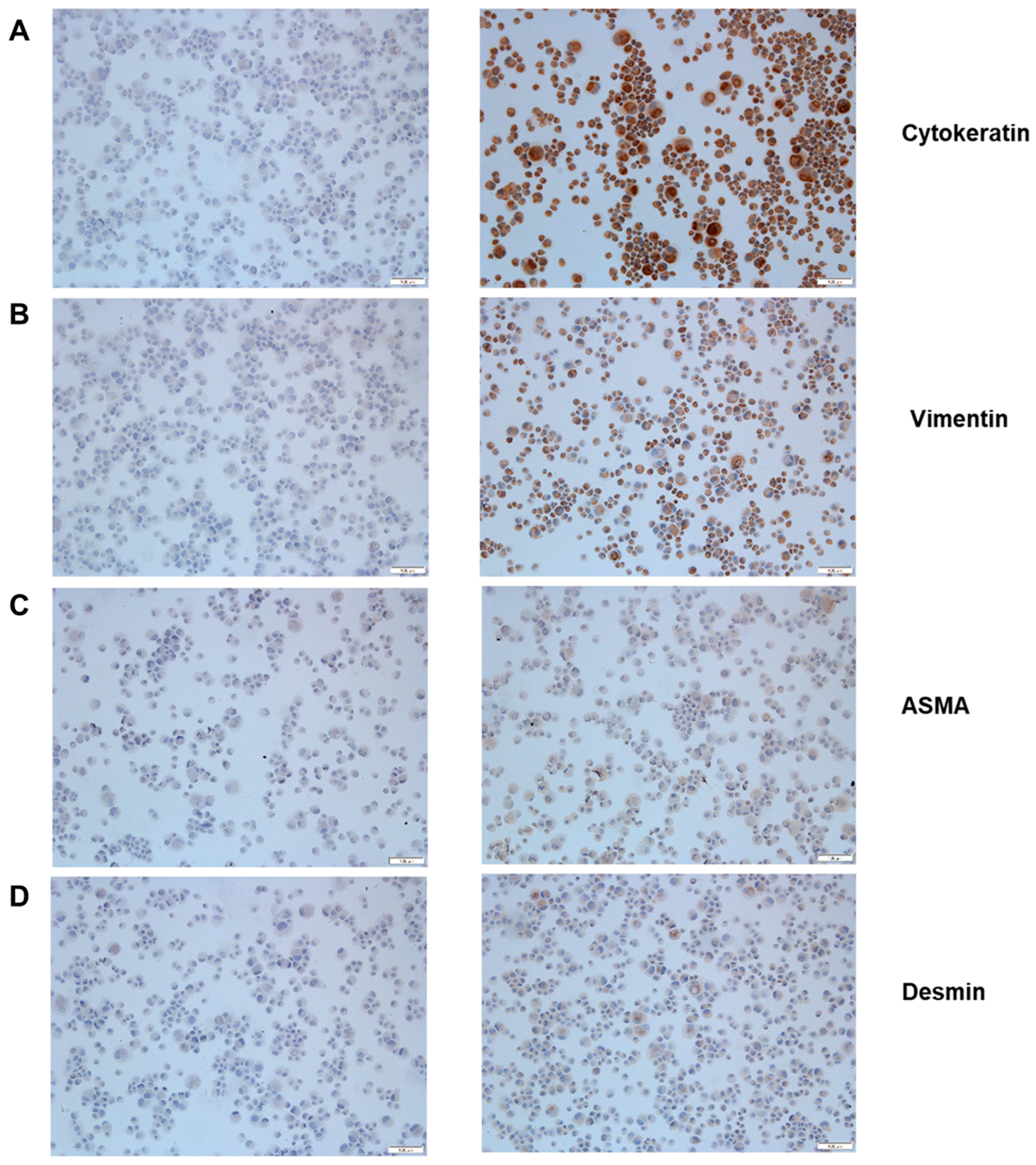 Viruses 10 00312 g001 Viruses 10 00312 g001