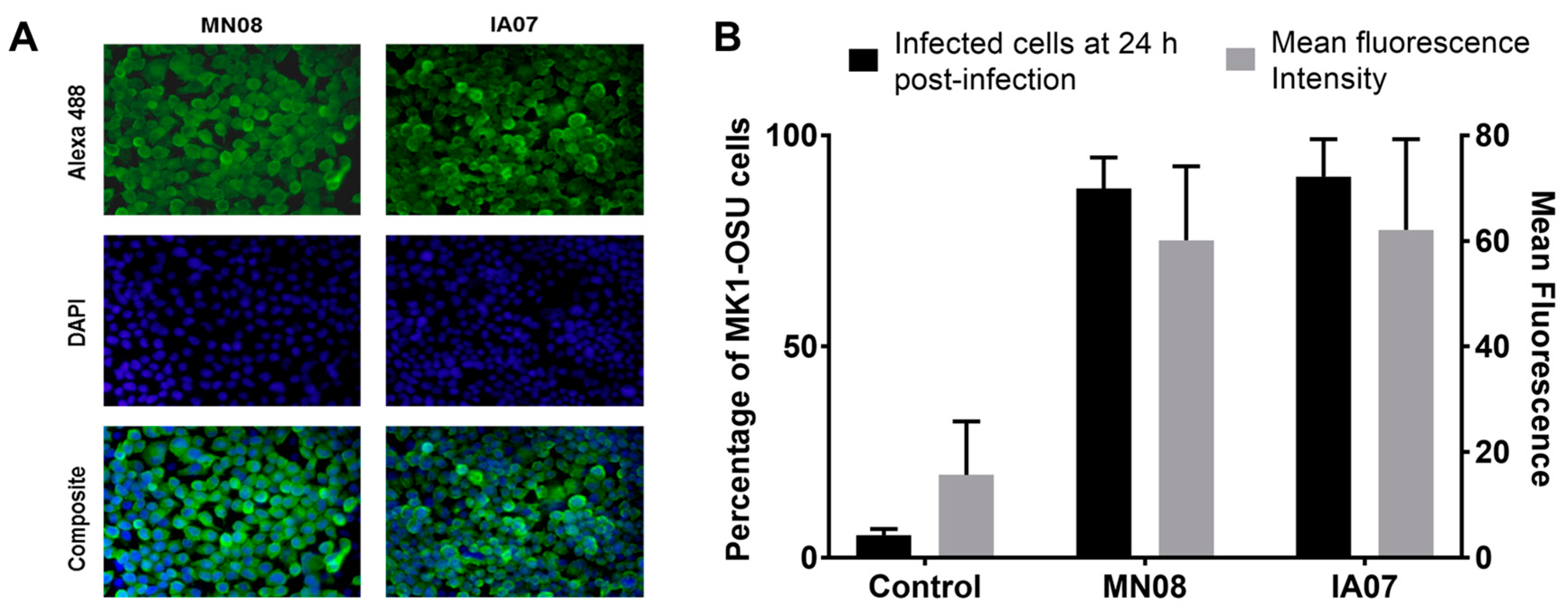 Viruses 10 00312 g003 Viruses 10 00312 g003