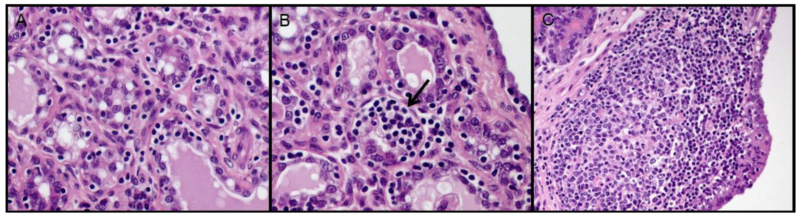 Viruses 10 00315 g001