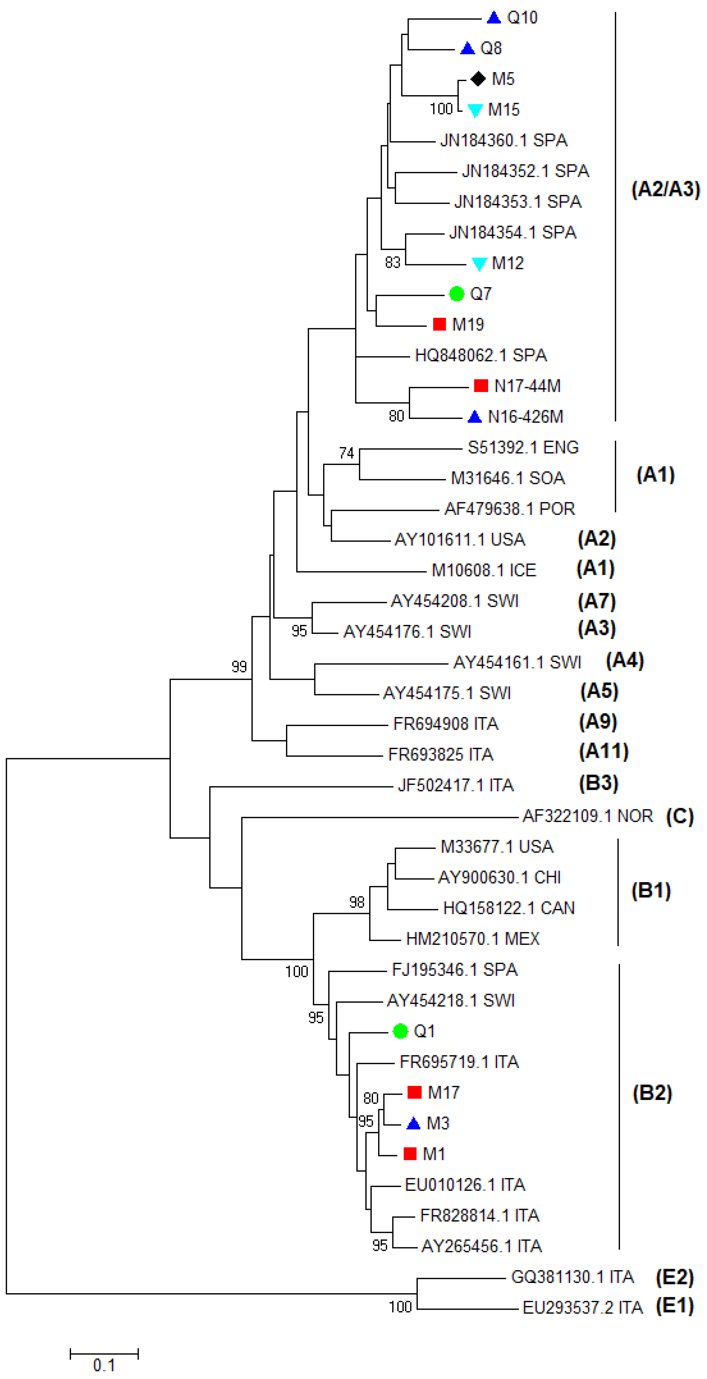 Viruses 10 00315 g003