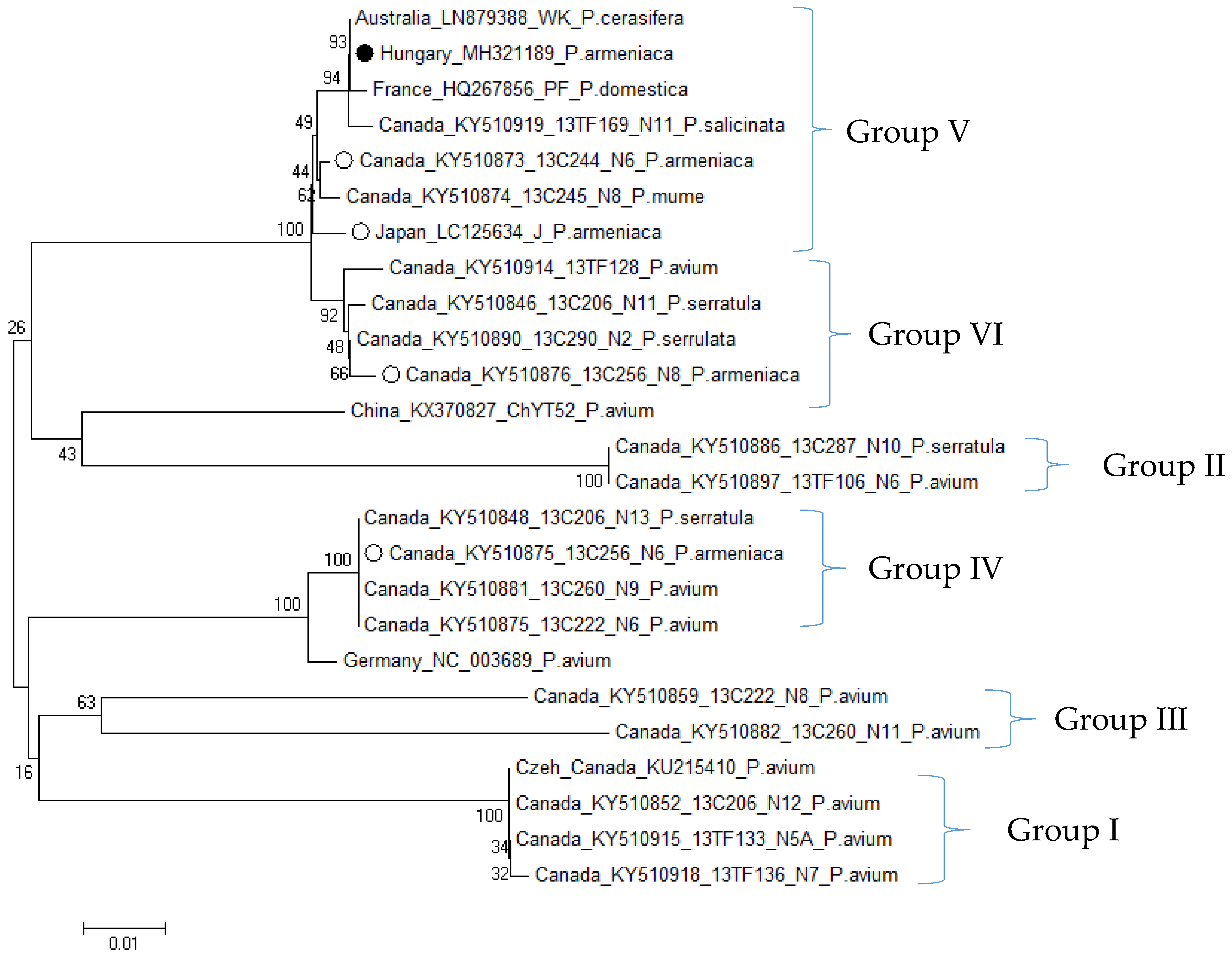 Viruses 10 00318 g003 Viruses 10 00318 g003