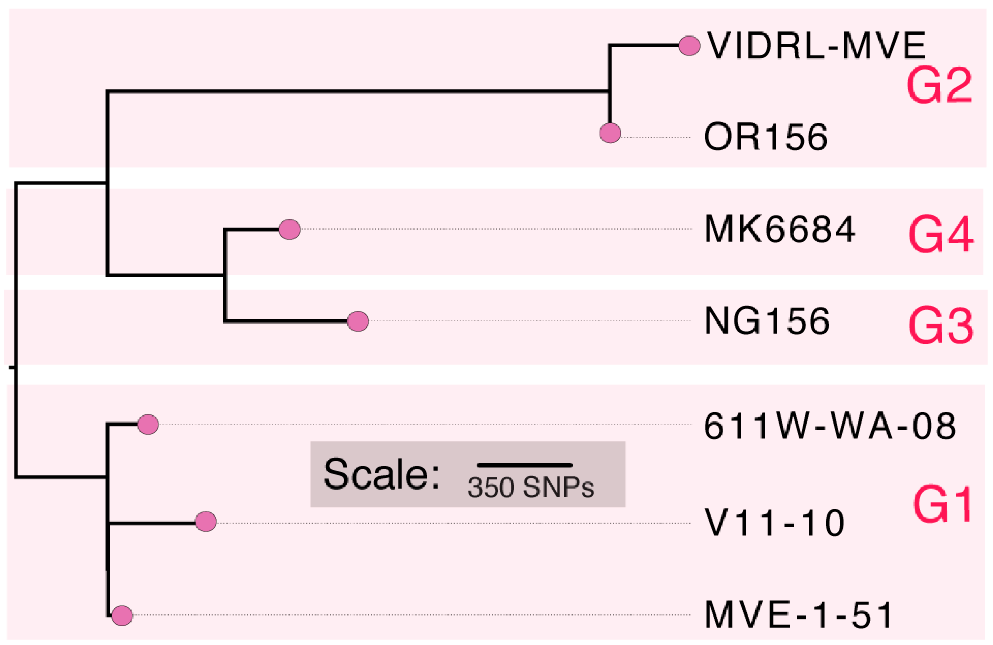 Viruses 10 00319 g001 550