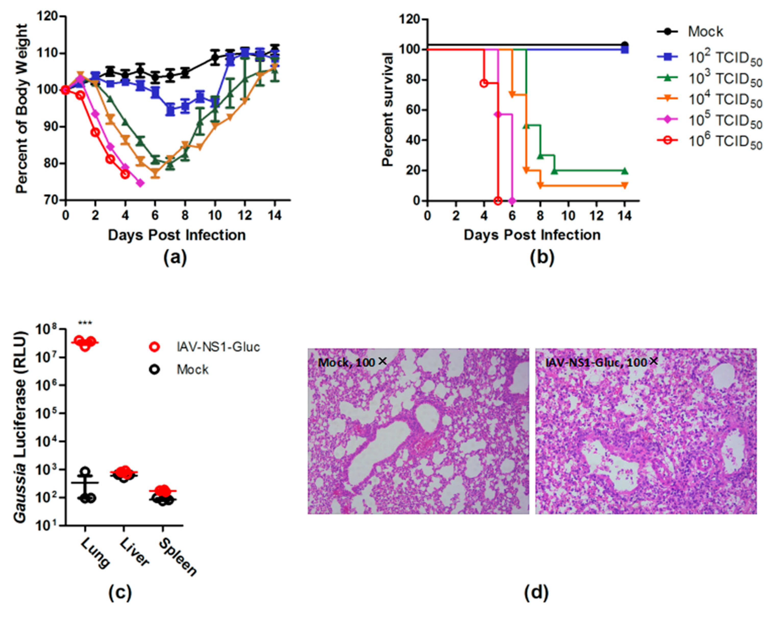 Viruses 10 00325 g002 Viruses 10 00325 g002