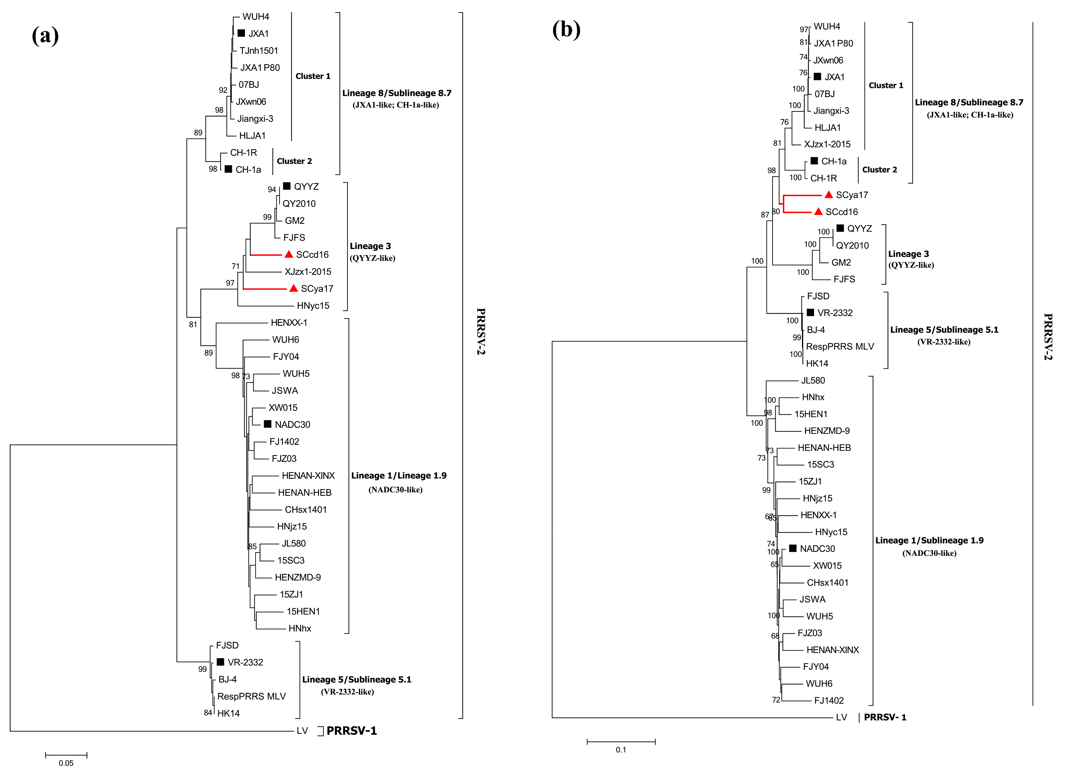Viruses 10 00328 g002 Viruses 10 00328 g002