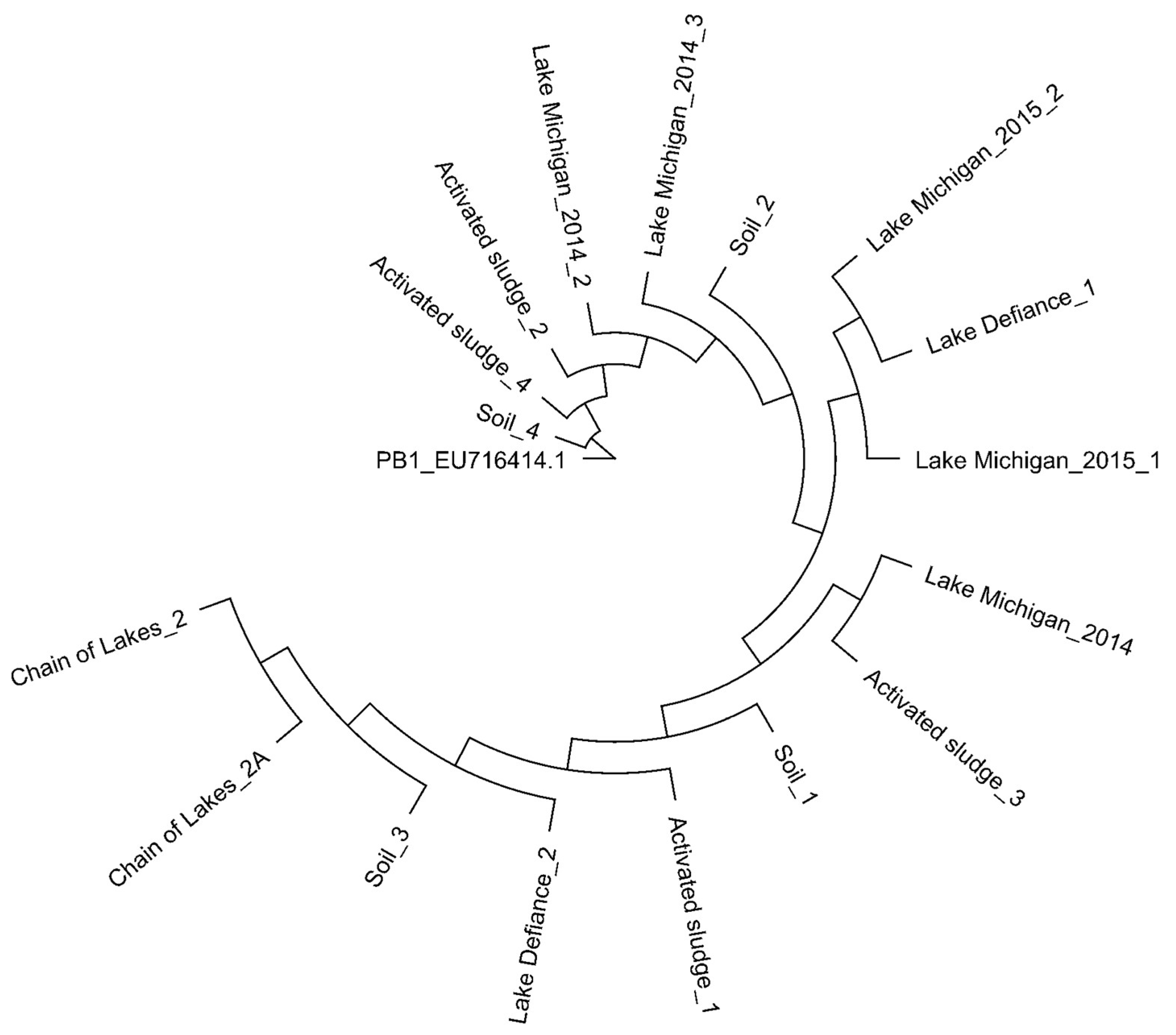Viruses 10 00331 g001
