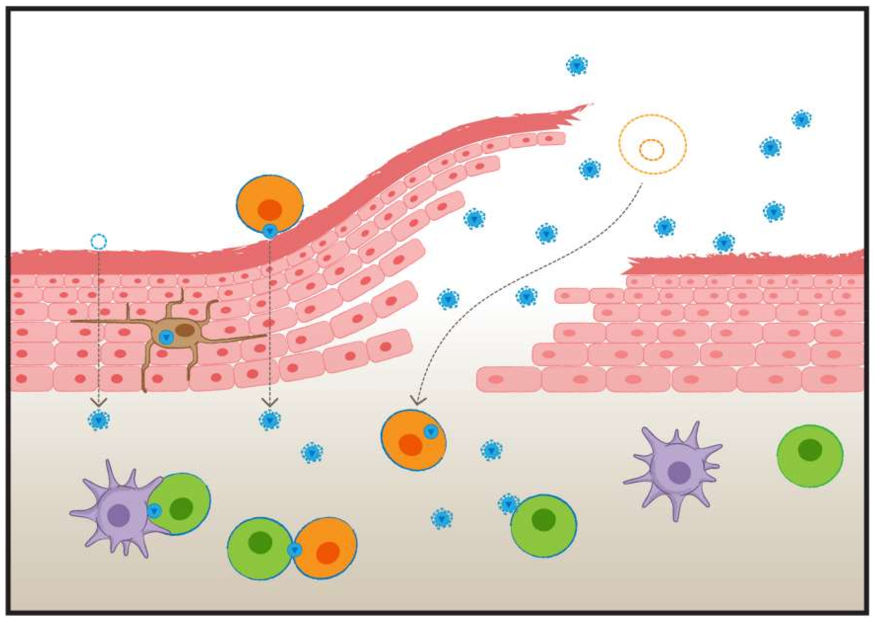 Viruses 10 00333 g001 Viruses 10 00333 g001