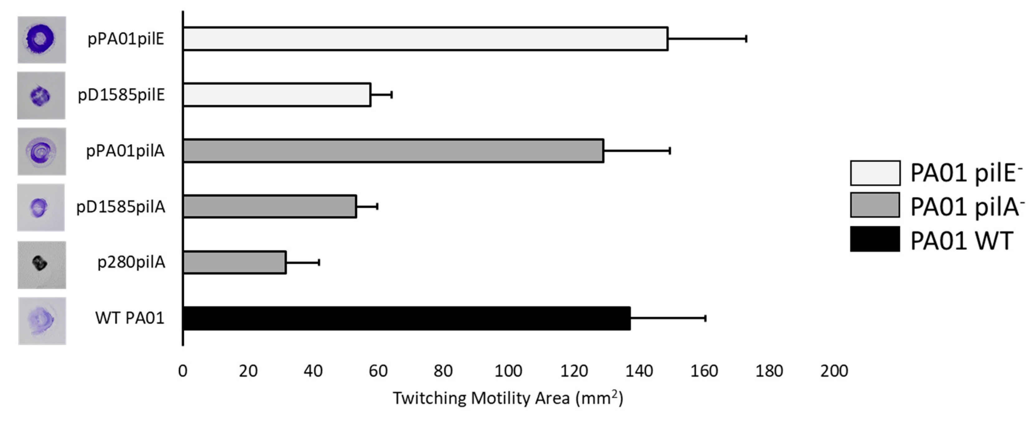 Viruses 10 00338 g003 Viruses 10 00338 g003