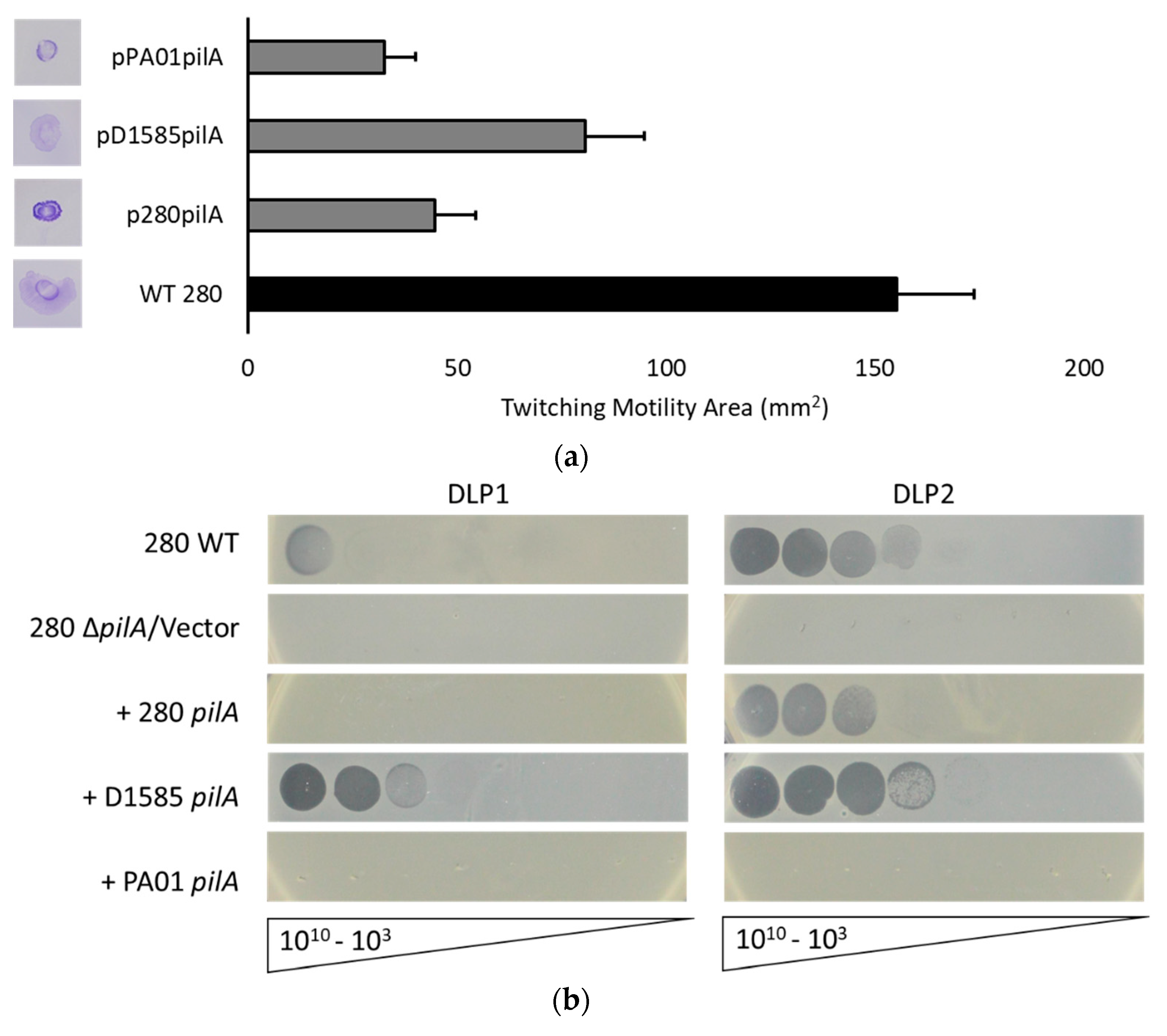 Viruses 10 00338 g005 Viruses 10 00338 g005