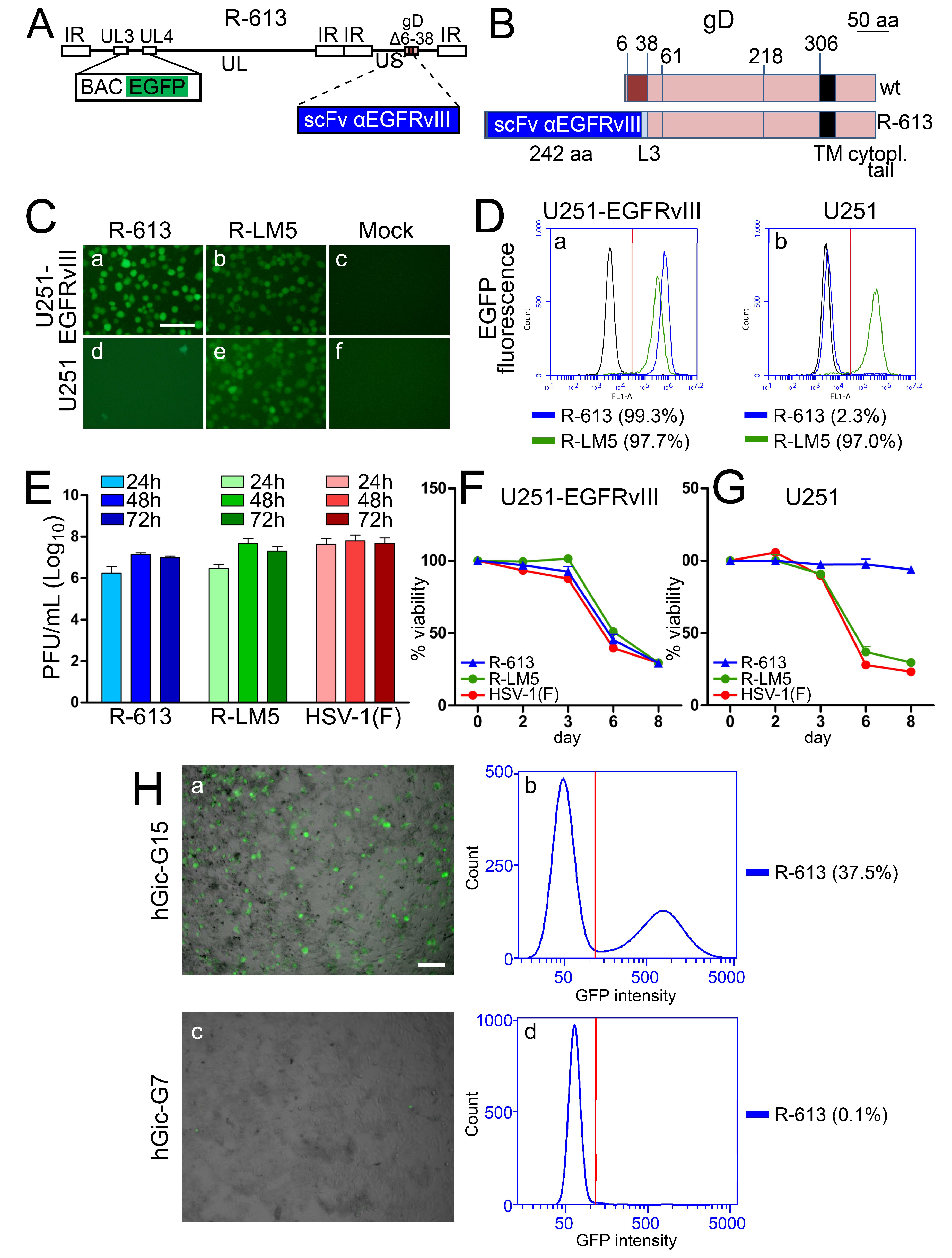 Viruses 10 00352 g003