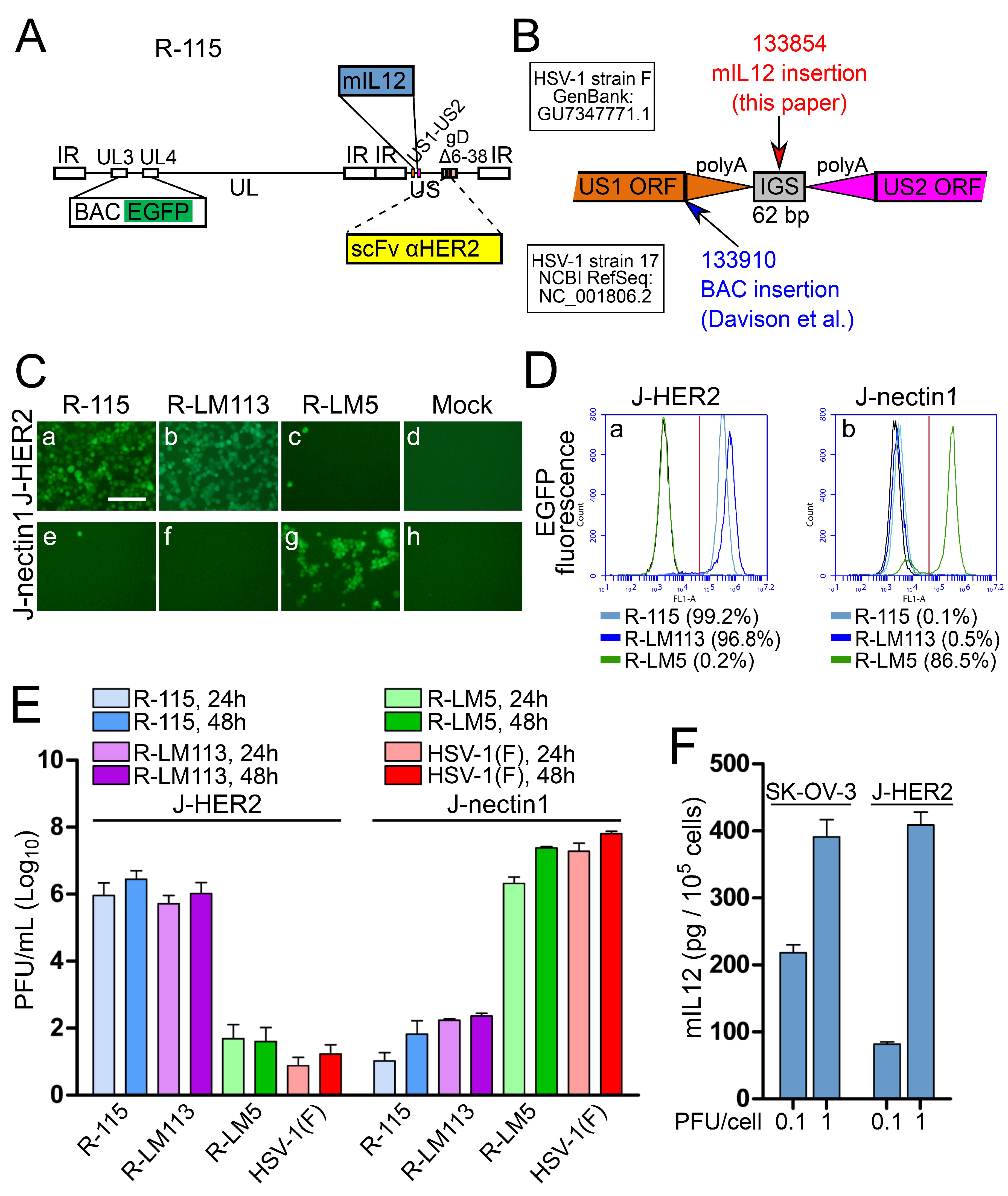Viruses 10 00352 g007