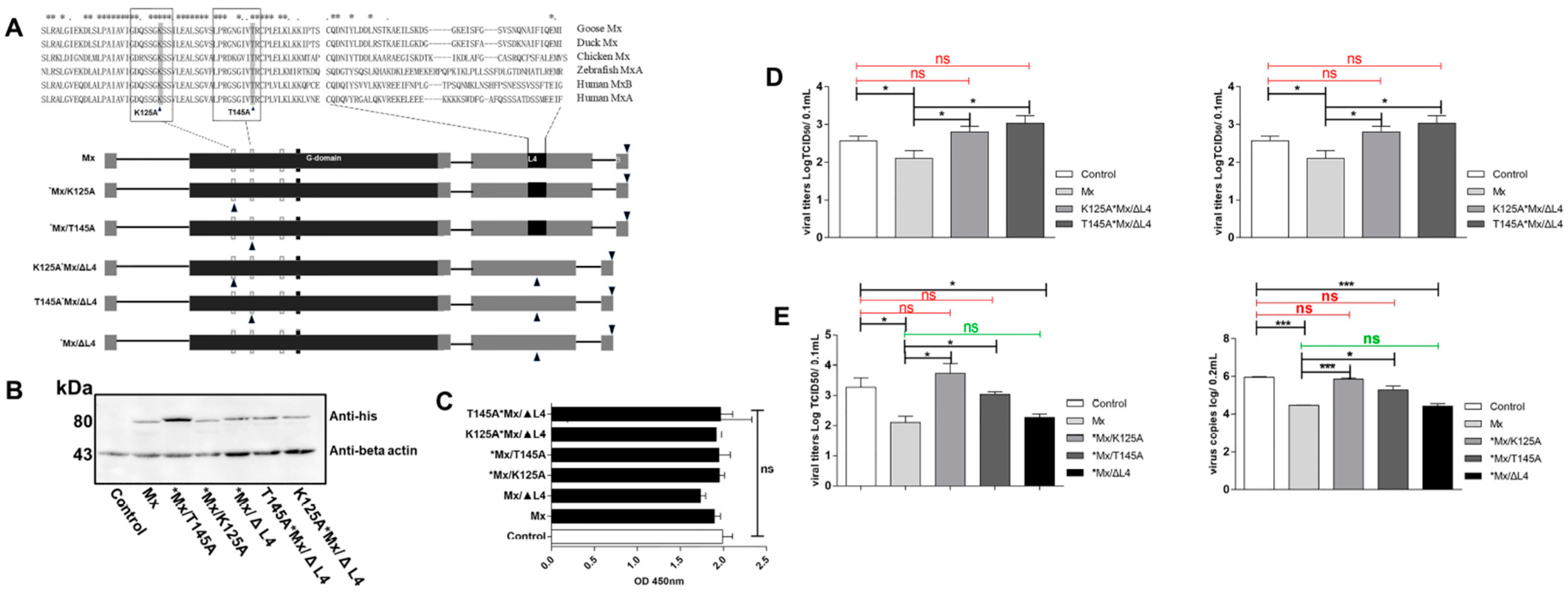 Viruses 10 00361 g006 Viruses 10 00361 g006