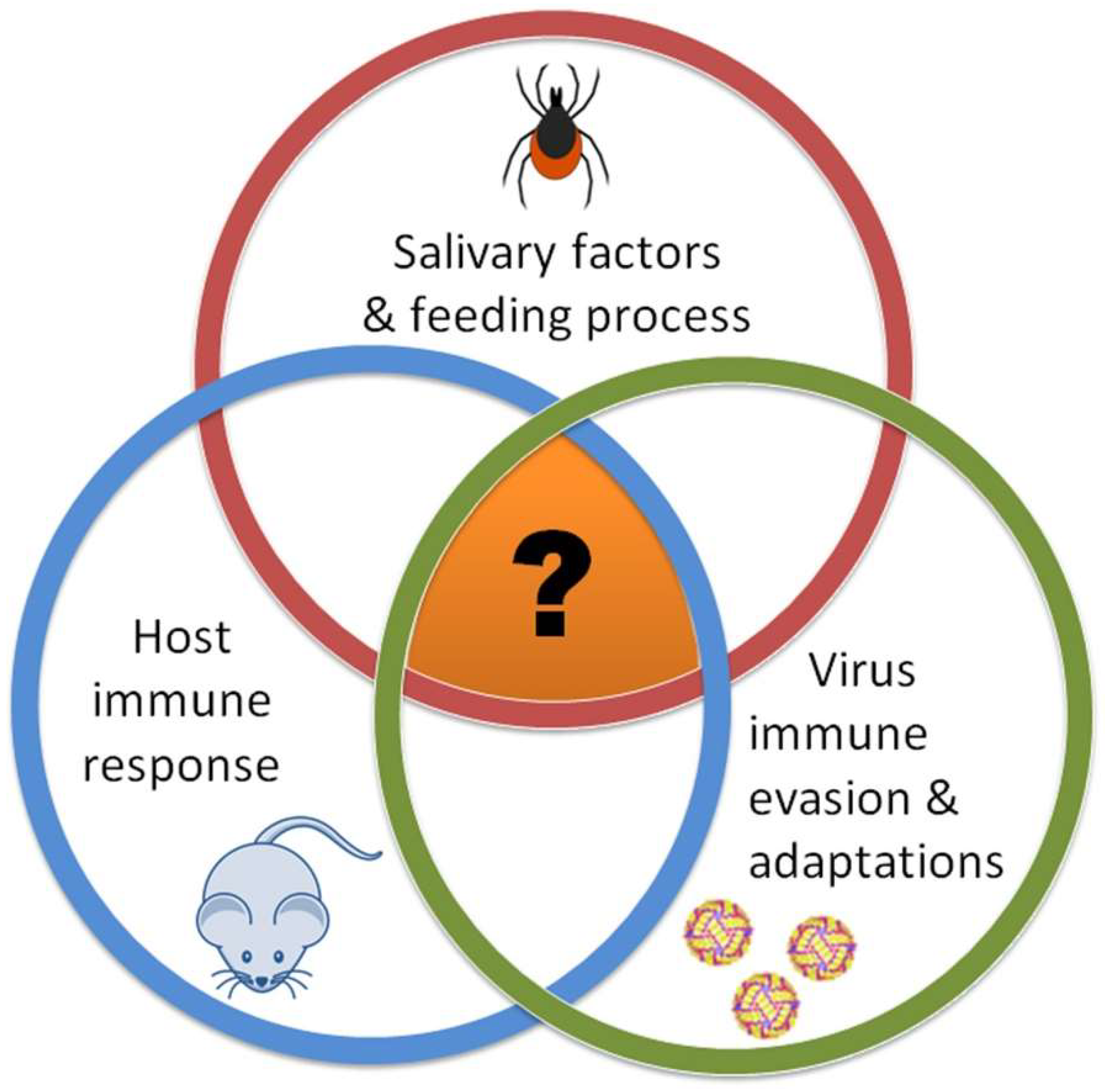 Viruses 10 00362 g001 550