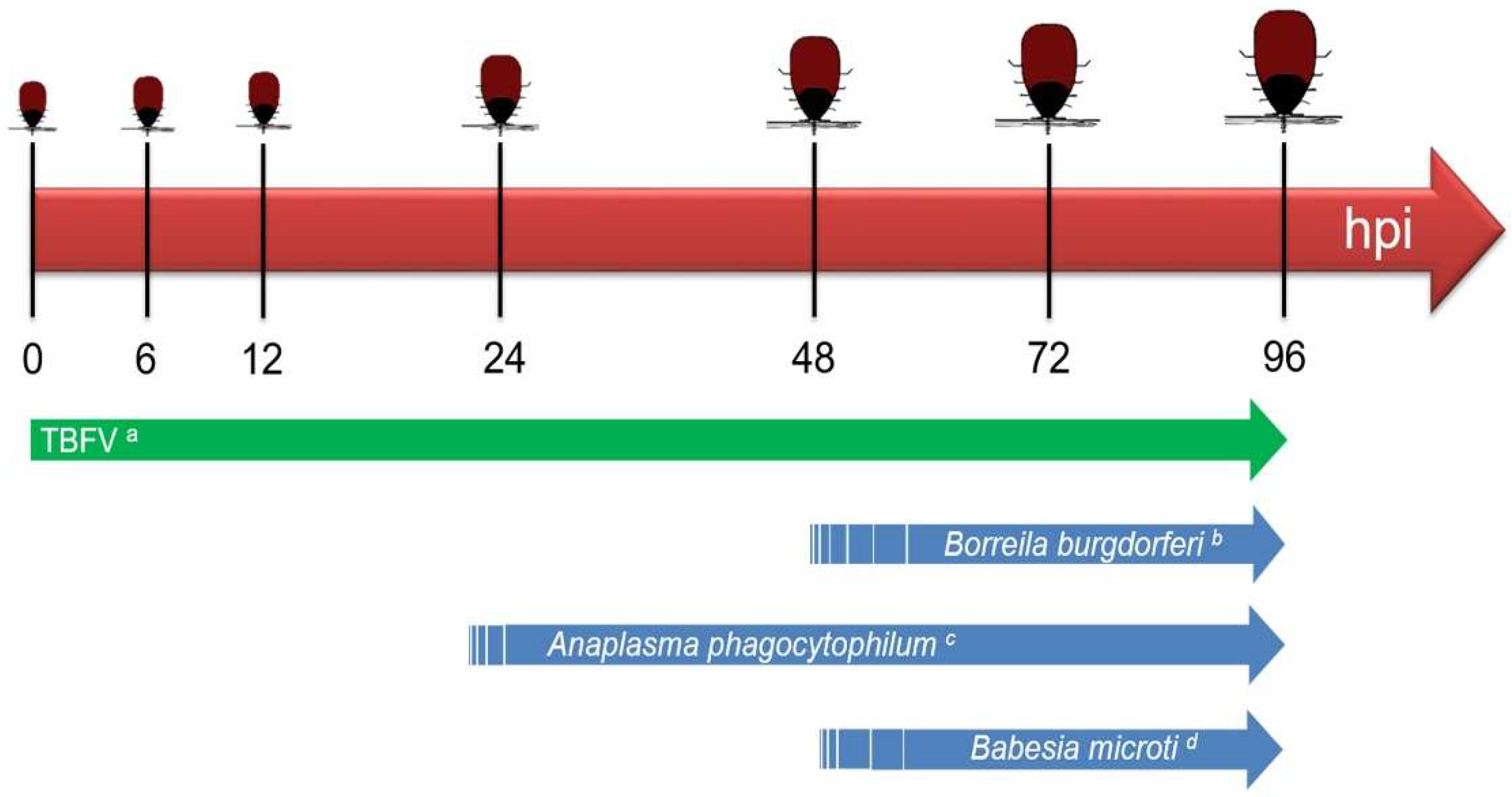 Viruses 10 00362 g002 550