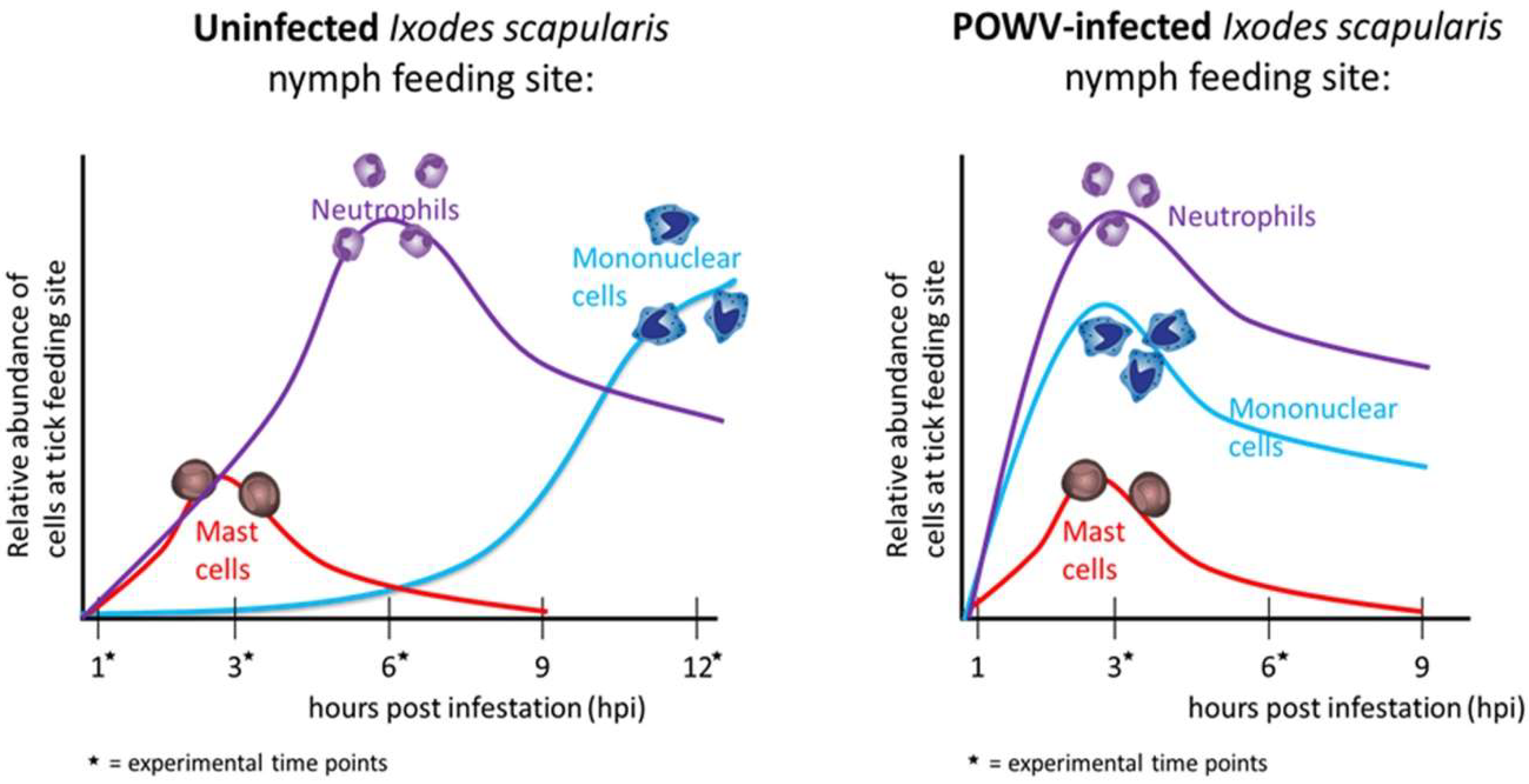 Viruses 10 00362 g004 550