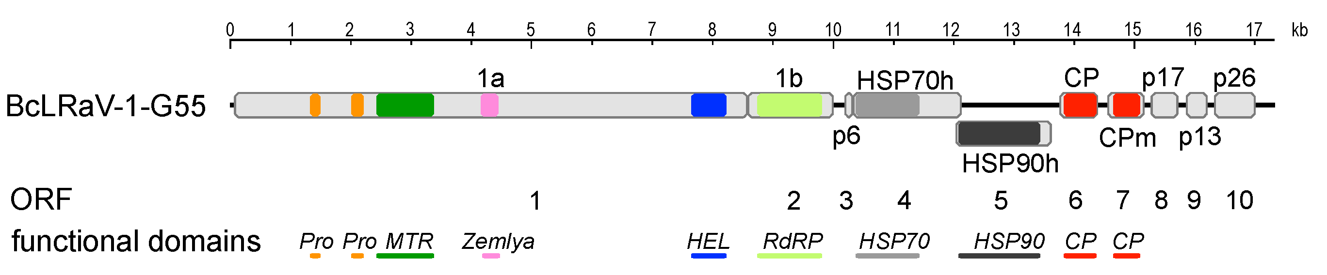 Viruses 10 00369 g001 Viruses 10 00369 g001