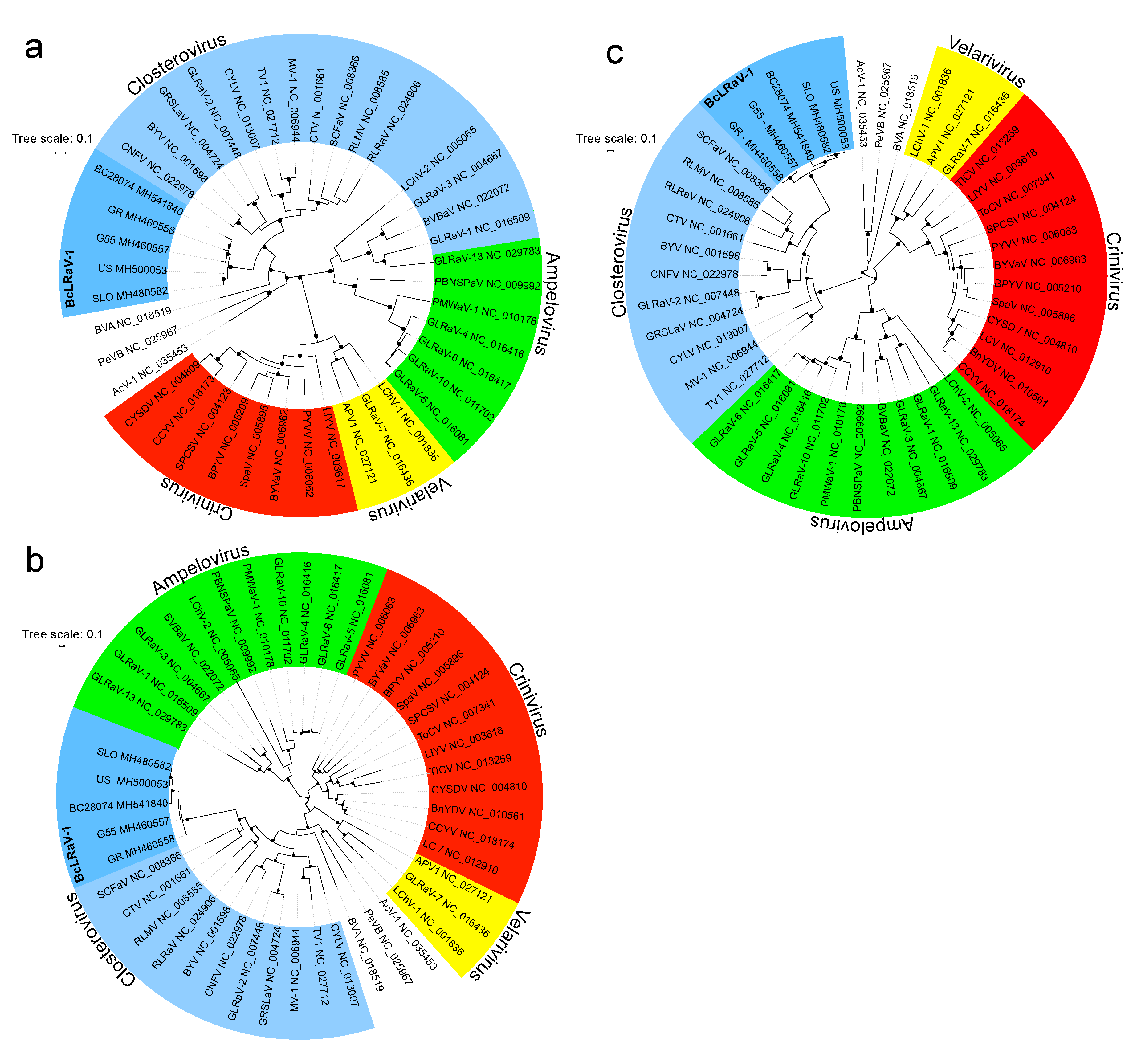 Viruses 10 00369 g005 Viruses 10 00369 g005