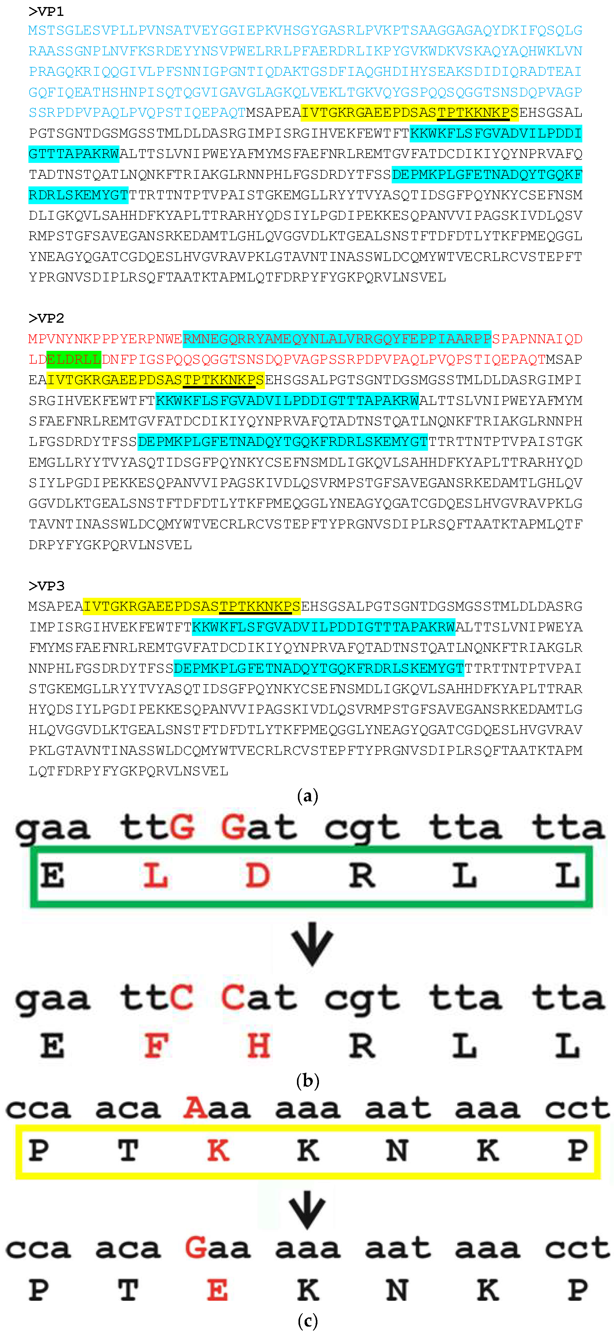 Viruses 10 00370 g001 Viruses 10 00370 g001