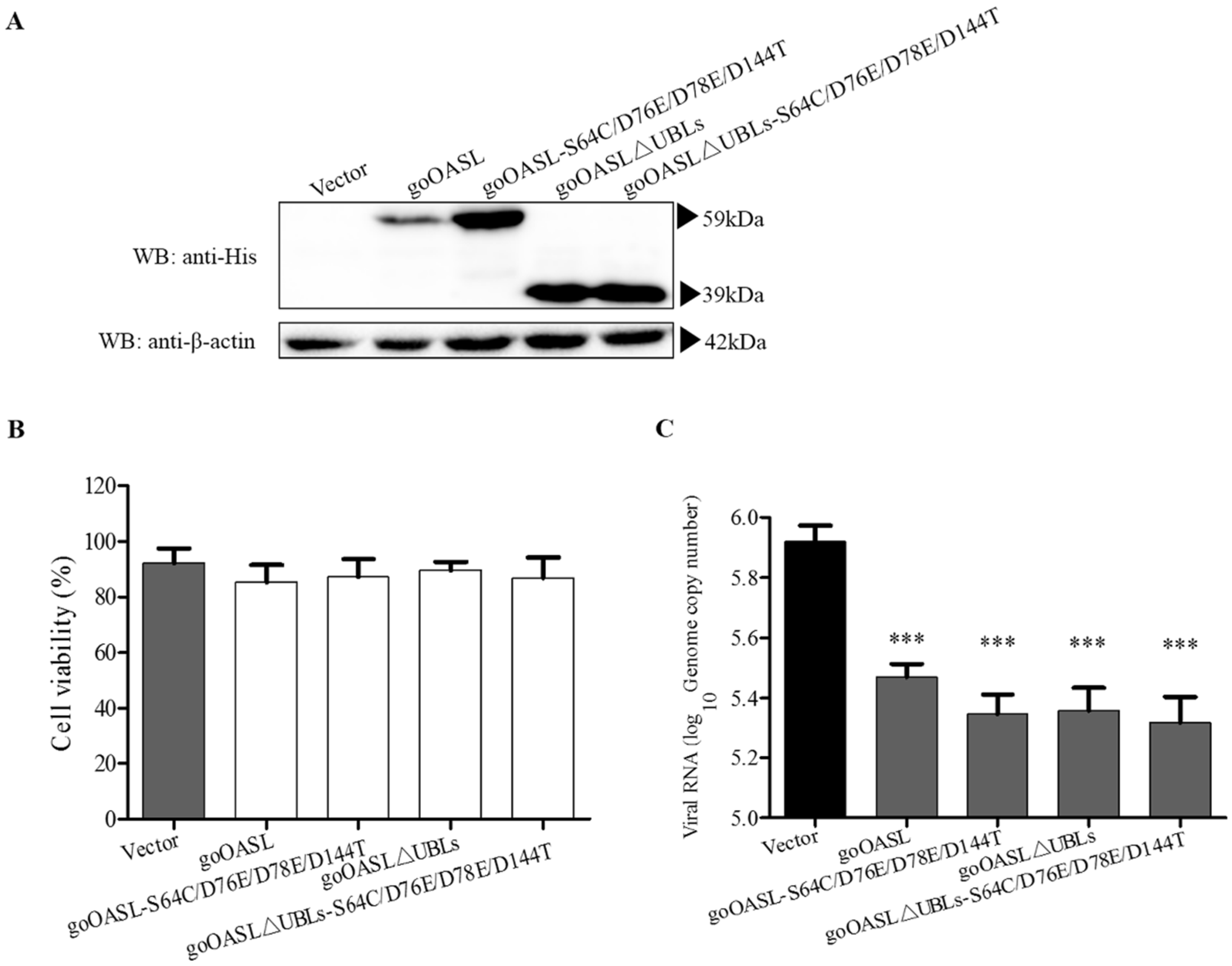 Viruses 10 00371 g003