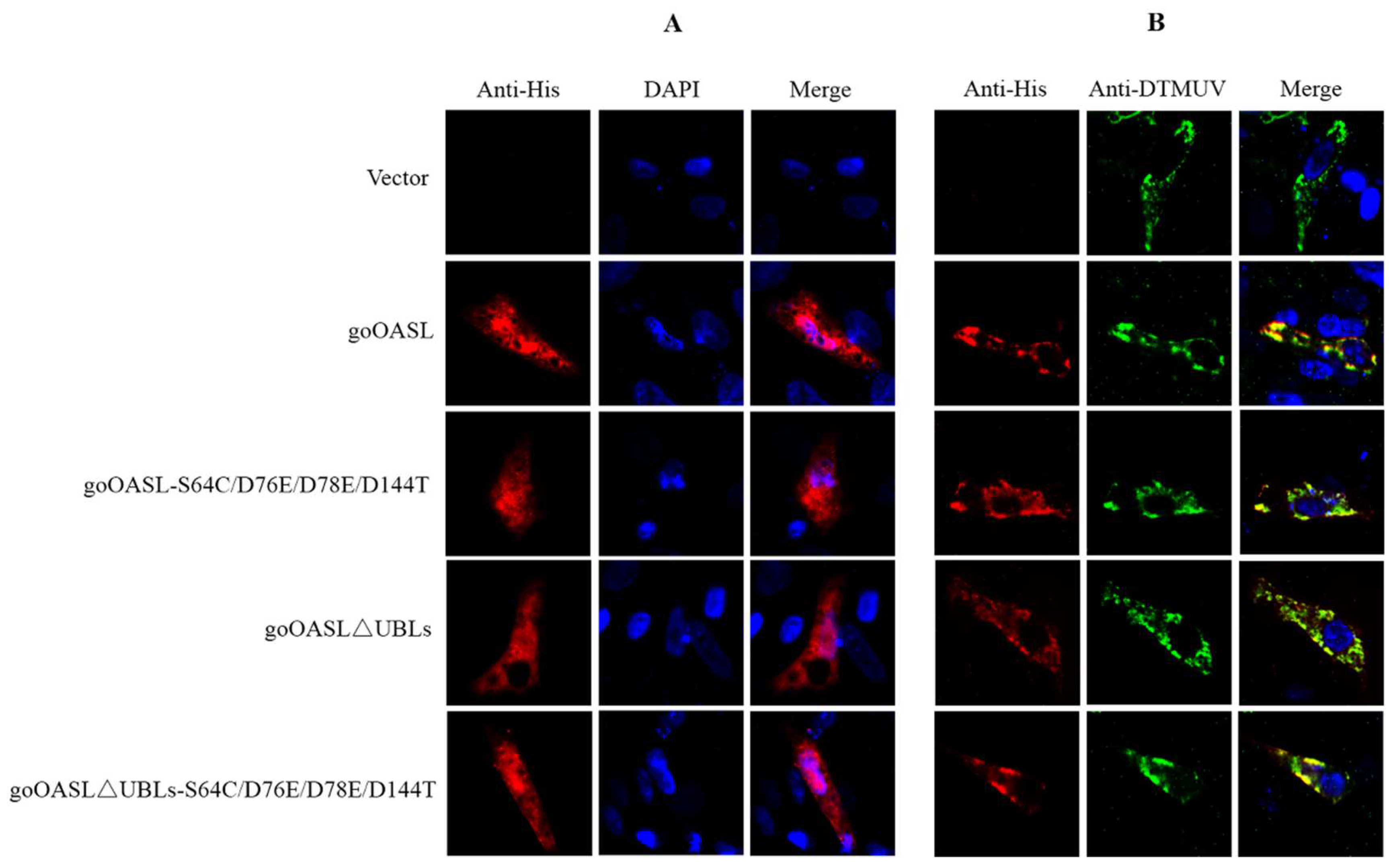Viruses 10 00371 g005