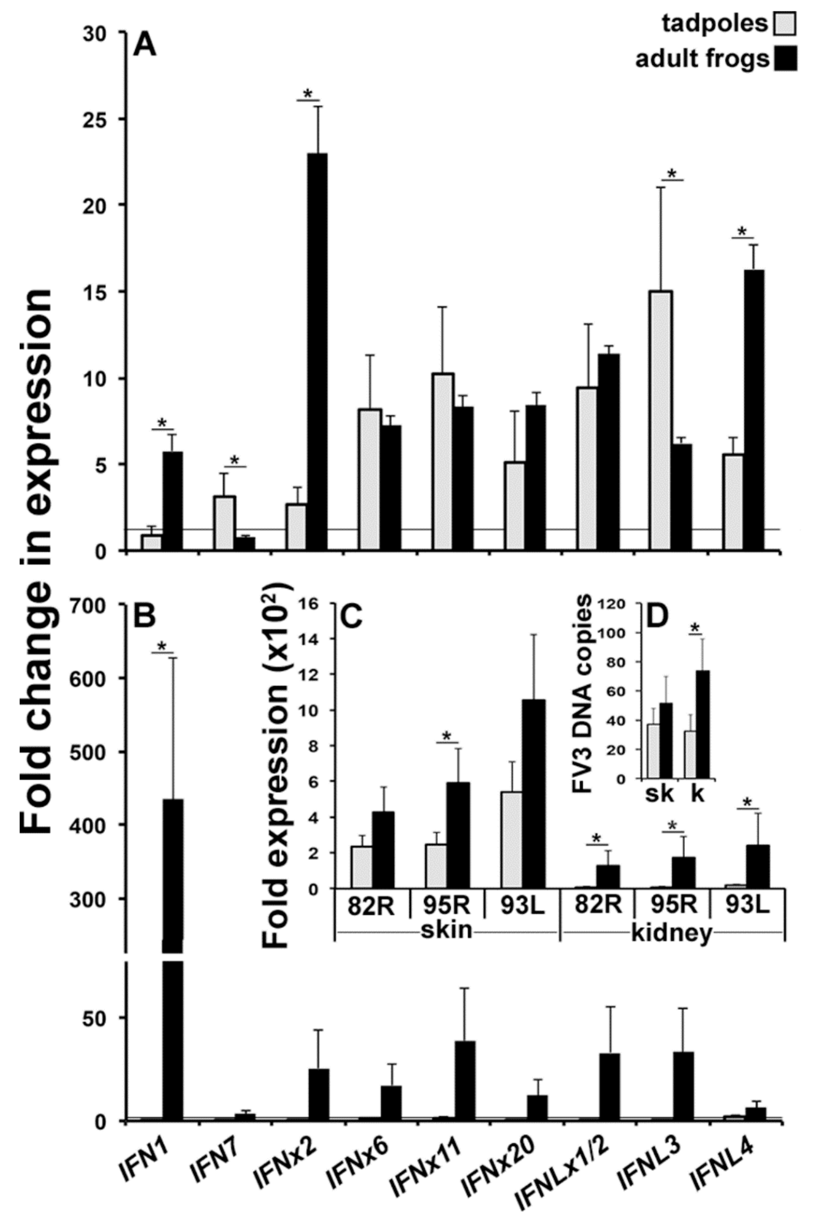 Viruses 10 00372 g004
