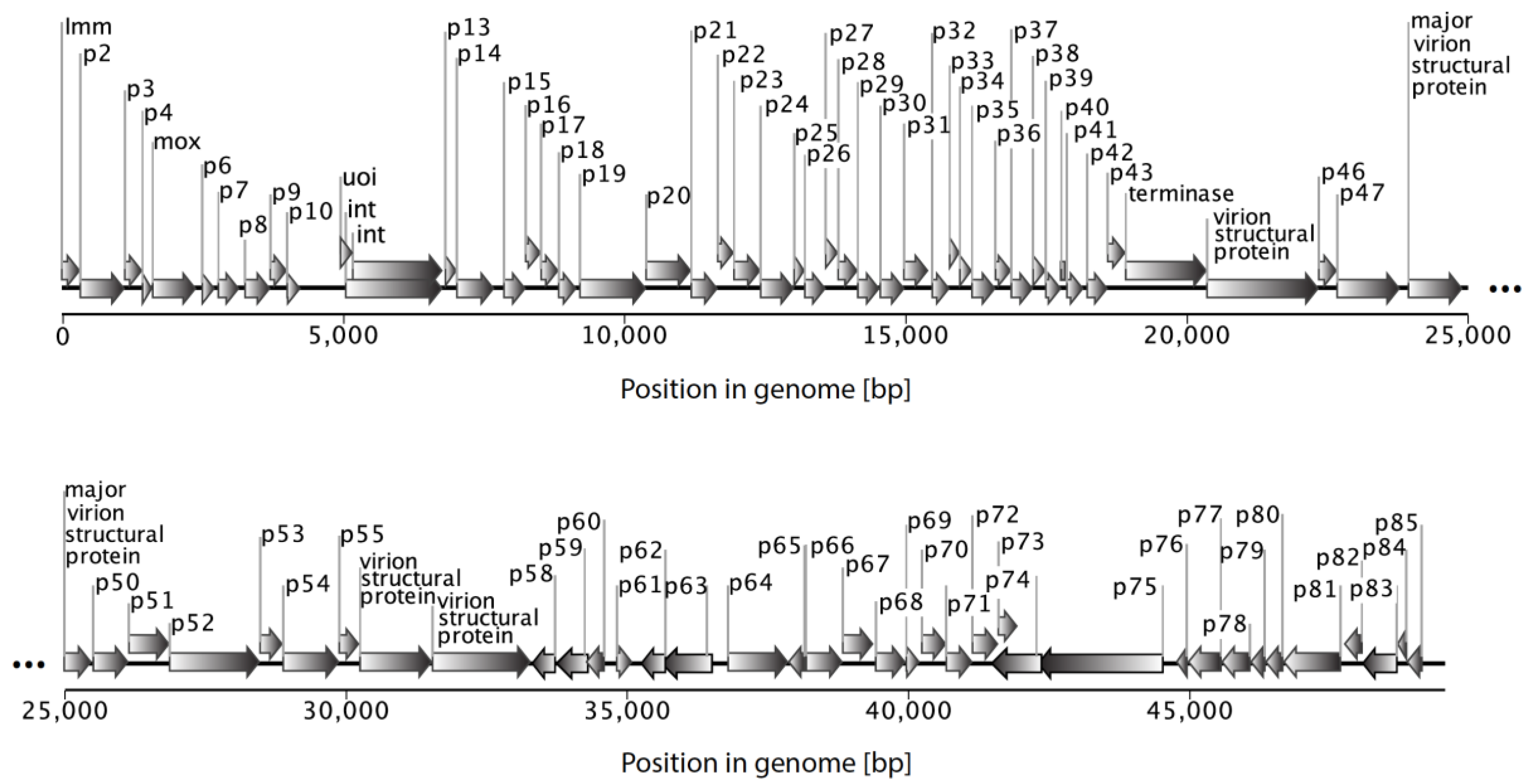 Viruses 10 00374 g003 Viruses 10 00374 g003