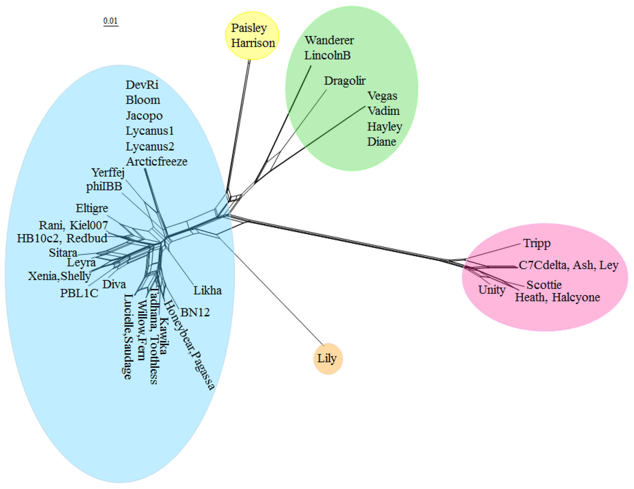 Viruses 10 00377 g004