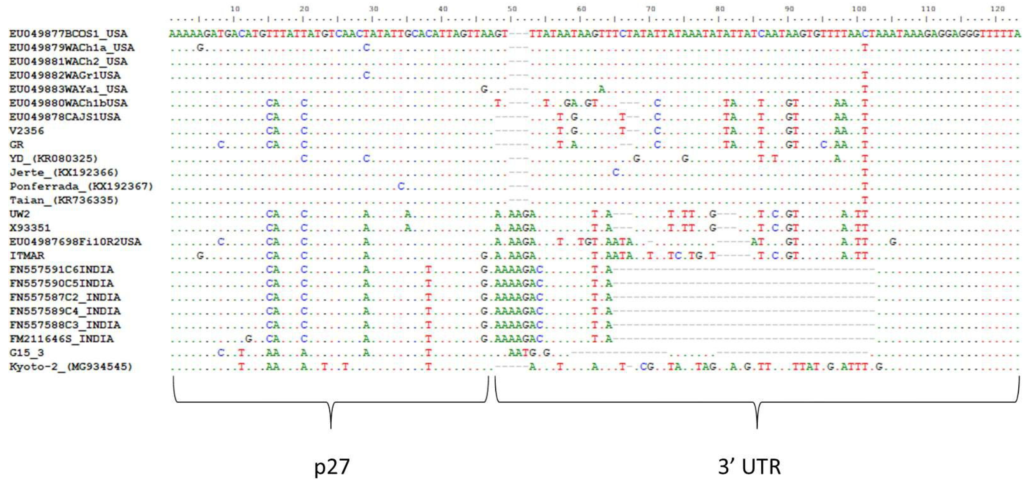 Viruses 10 00385 g002 Viruses 10 00385 g002