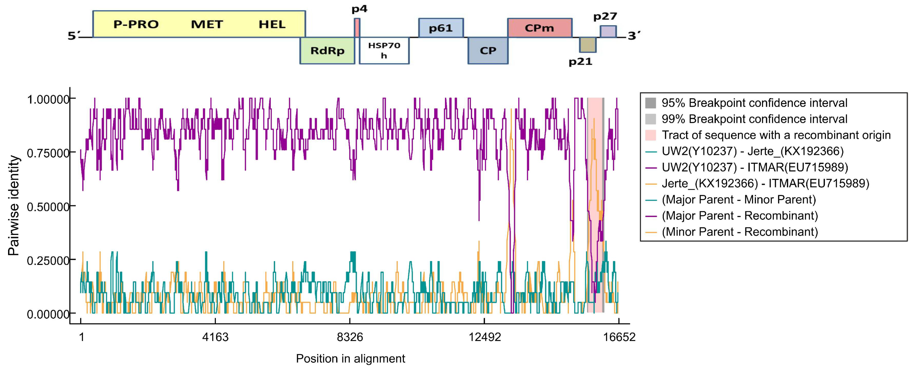 Viruses 10 00385 g003 Viruses 10 00385 g003